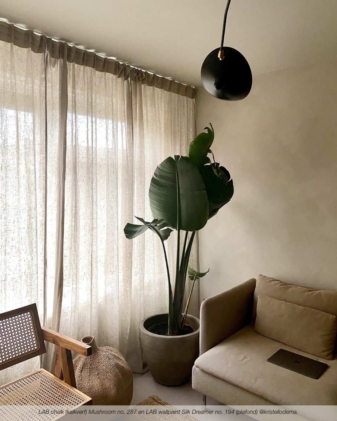 SILK DREAMER NO. 194