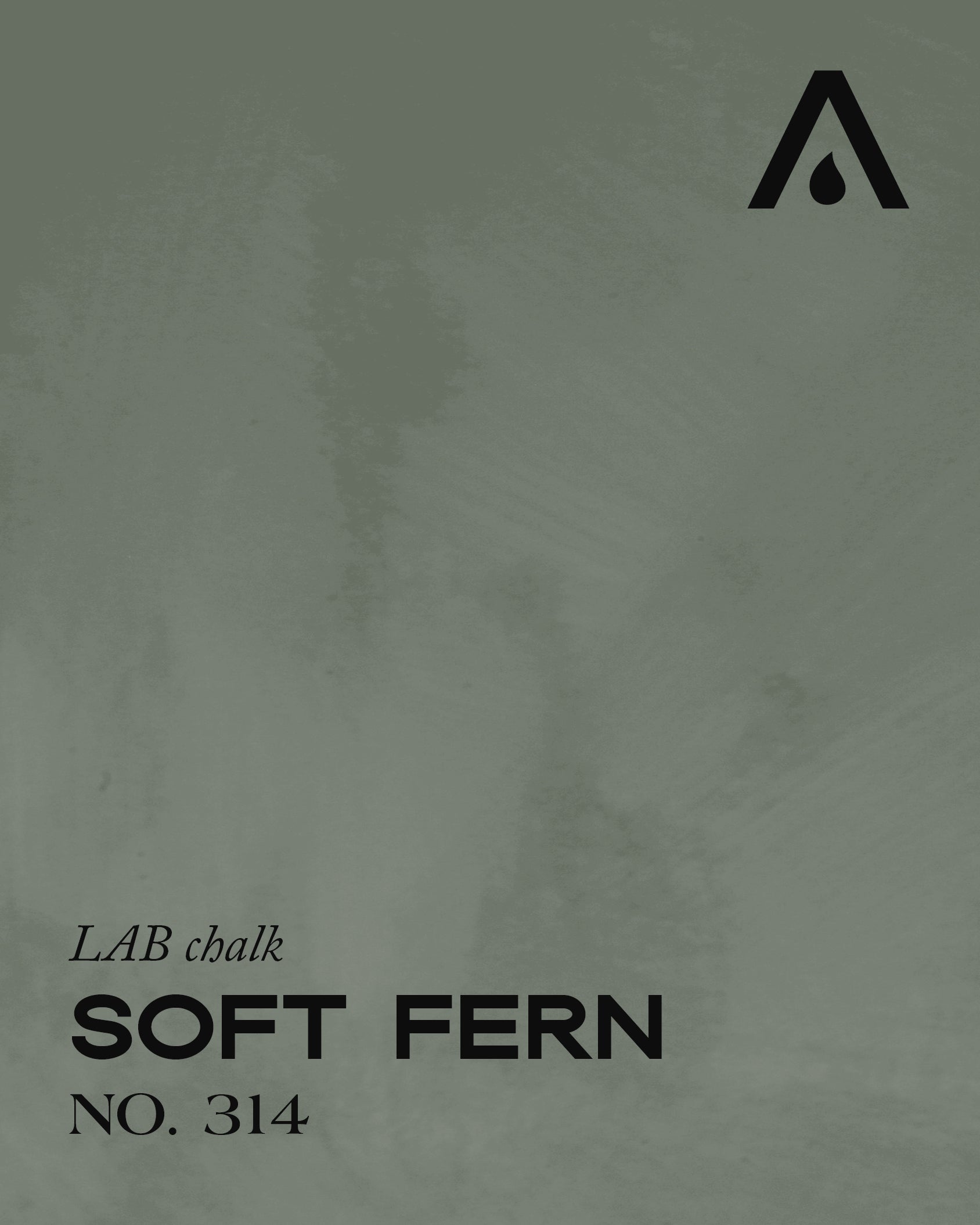 Soft Fern No. 314