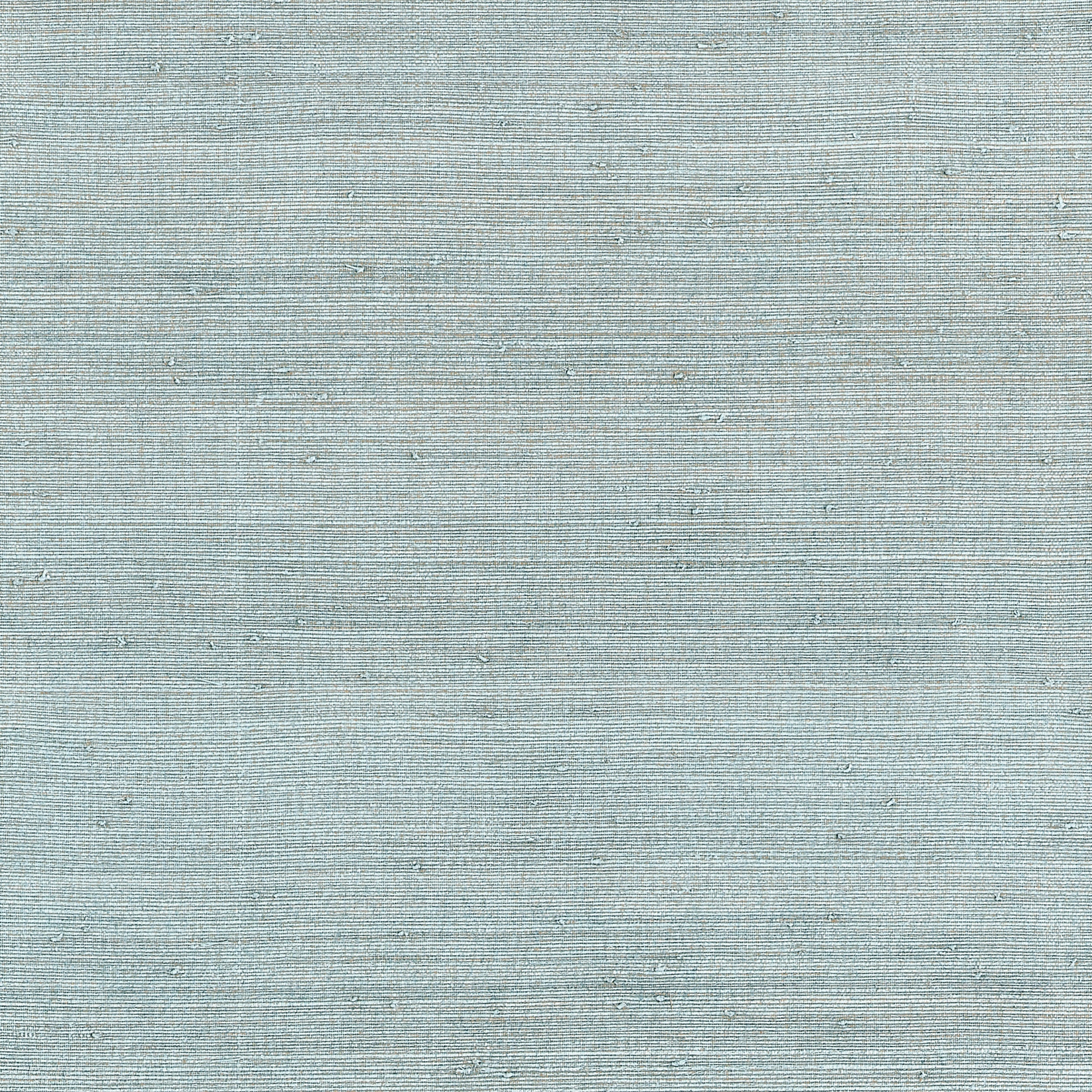 Thibaut Montgomery Weave Behang T10326 - Spa Blue
