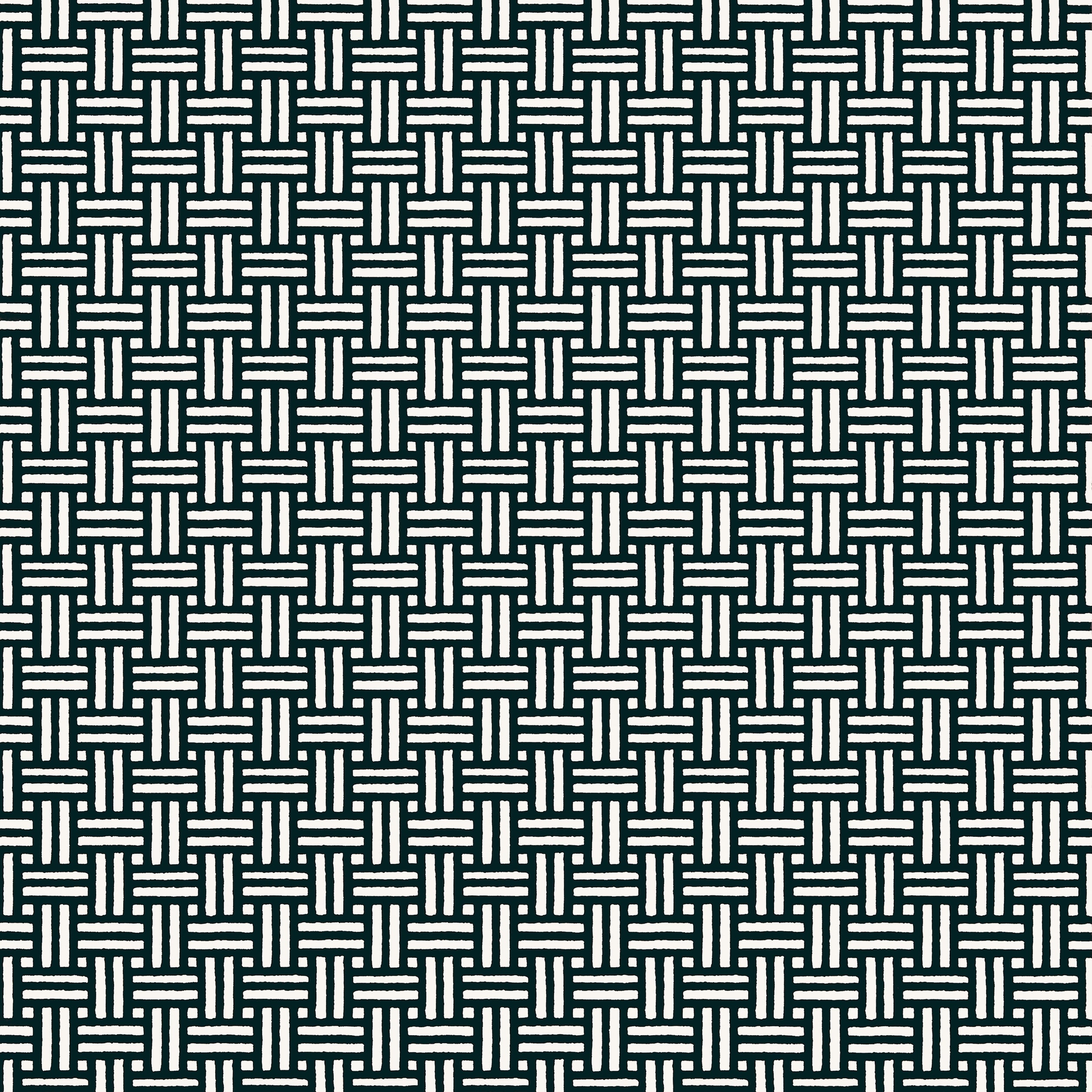 Thibaut Piermont Behang T10624 - Black