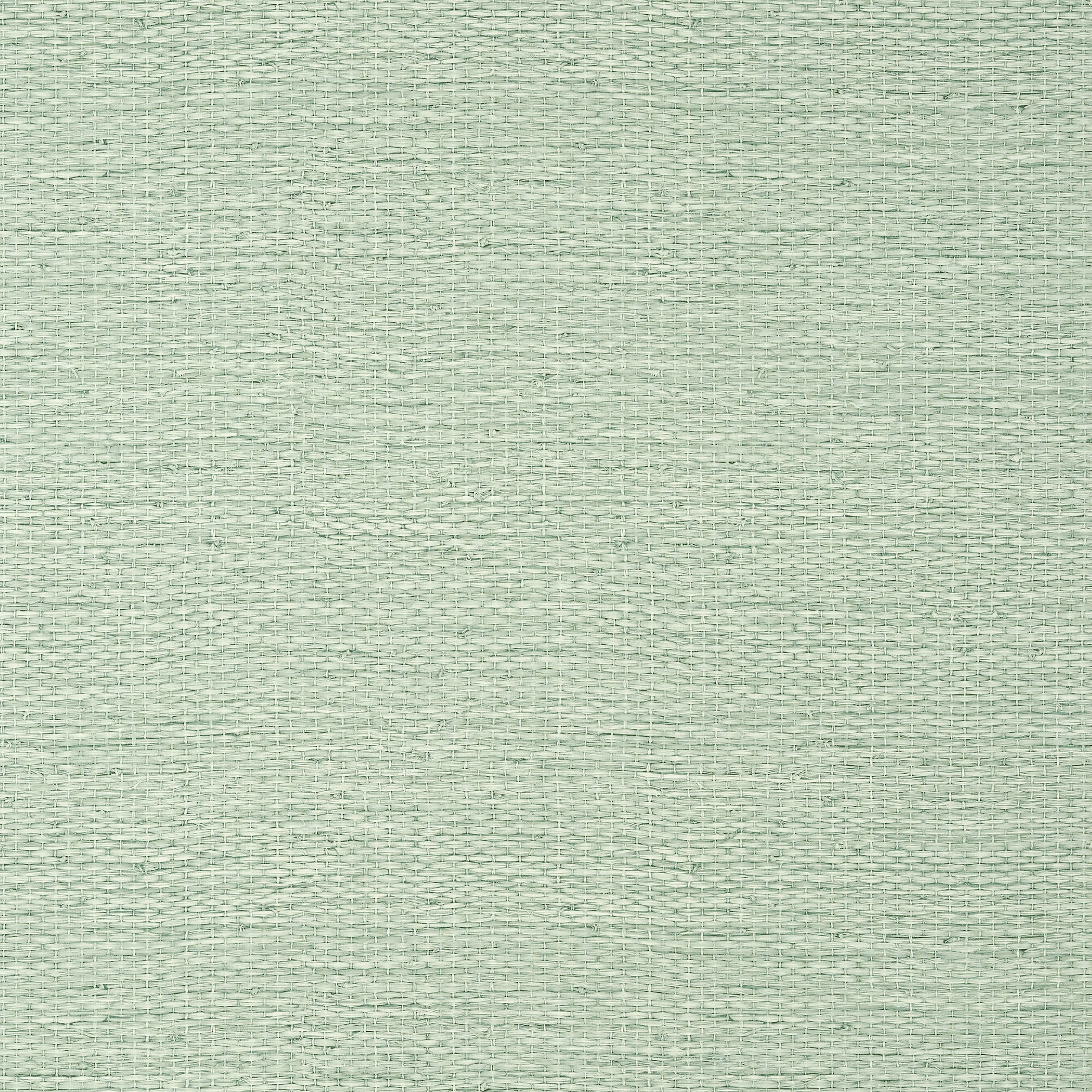 Thibaut Prairie Weave Behang T10928 - Evergreen