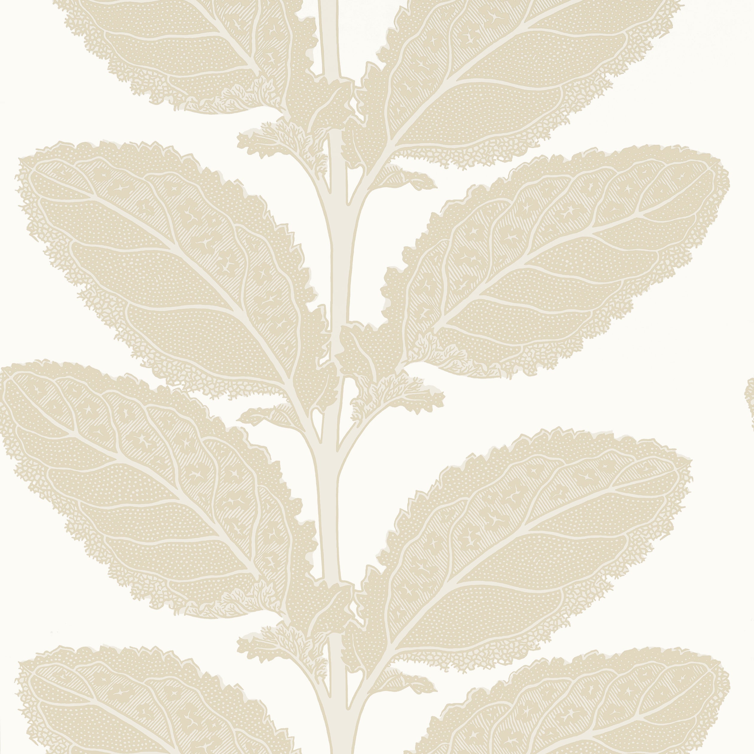 Thibaut Lacinato Behang T12041 - Birch