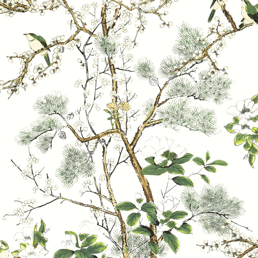 Thibaut Islander Grand Palace Katsura T13621