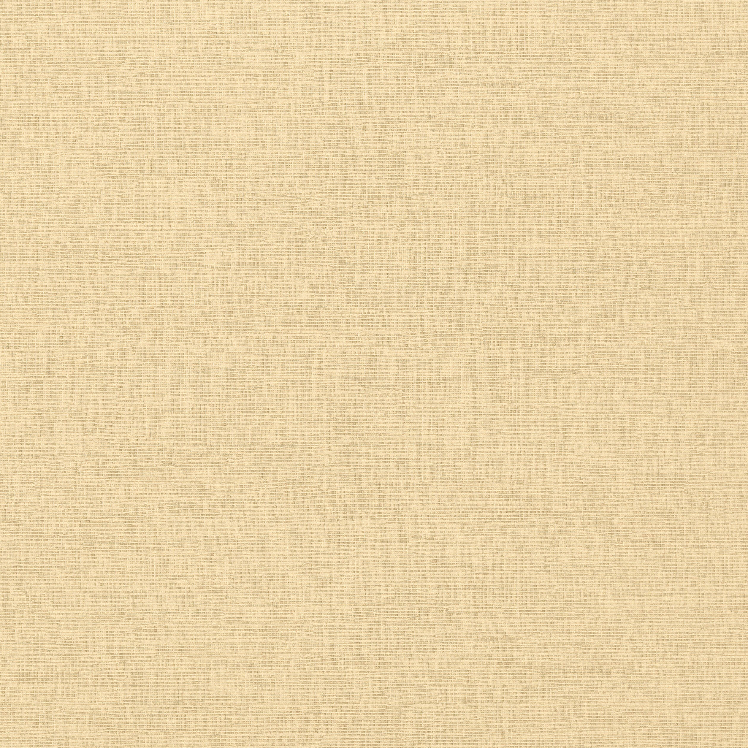 Thibaut Coastal Sisal Behang T14109 - Sand