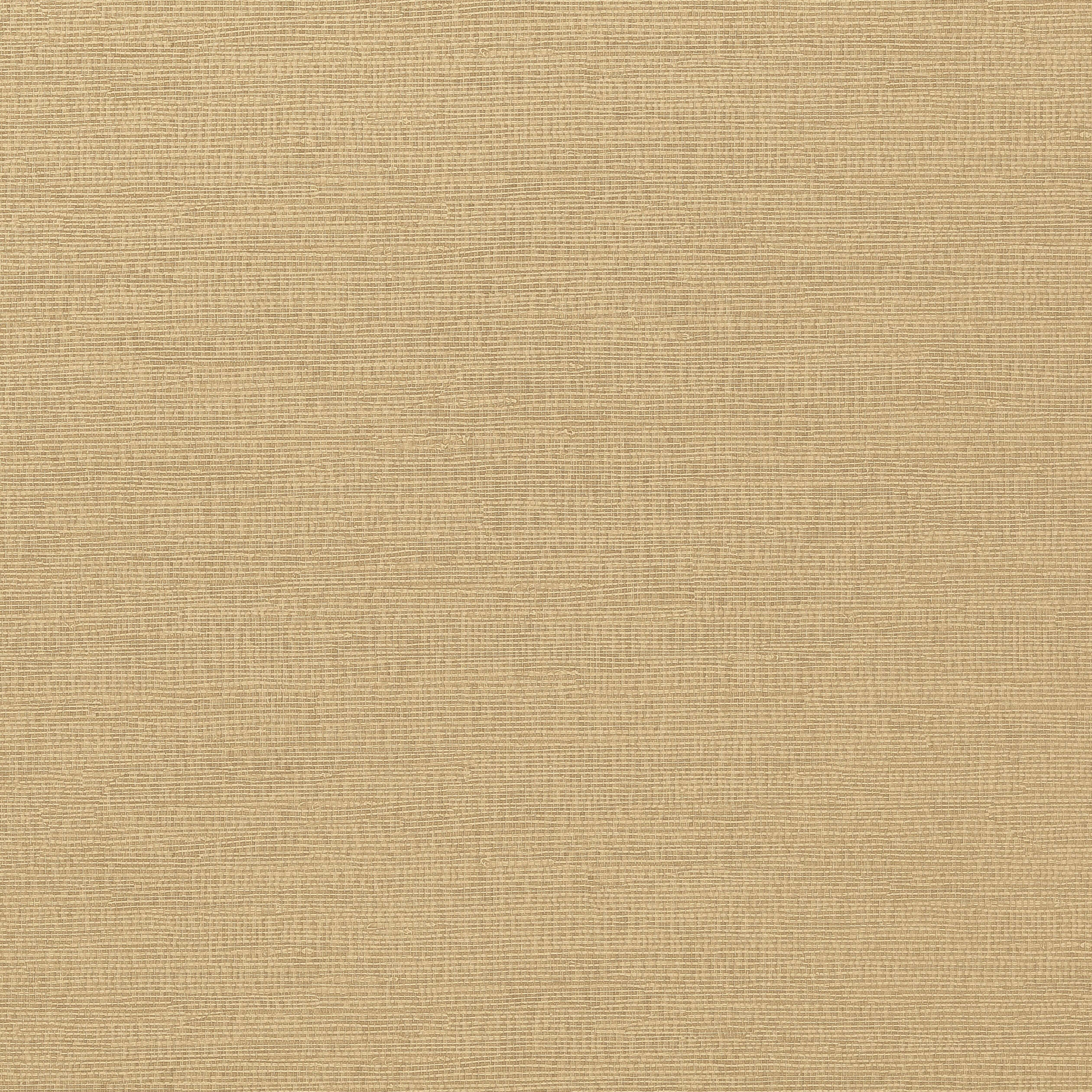 Thibaut Coastal Sisal Behang T14110 - Antique