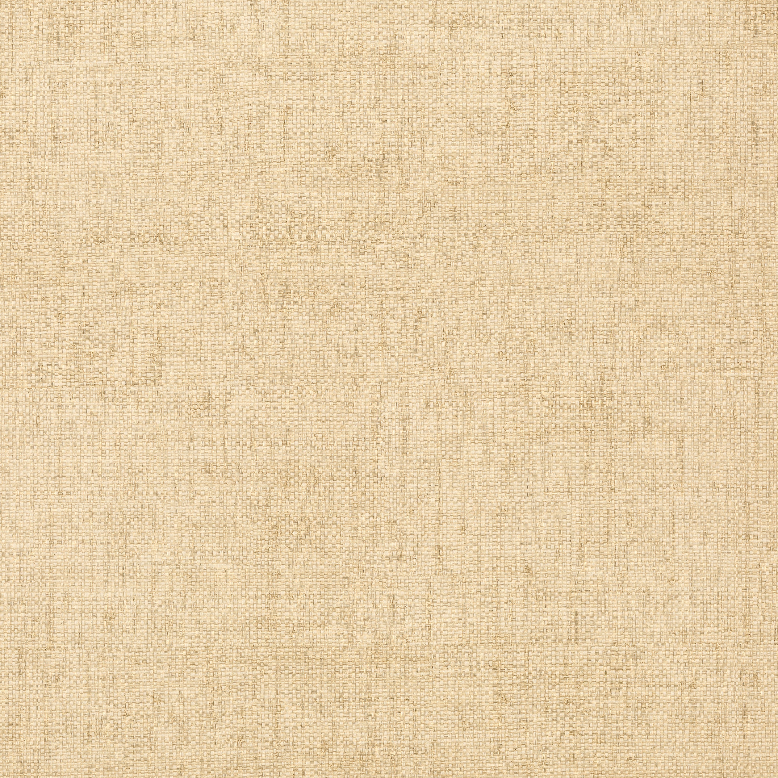 Thibaut Bankun Raffia Behang T14136 - Wheat