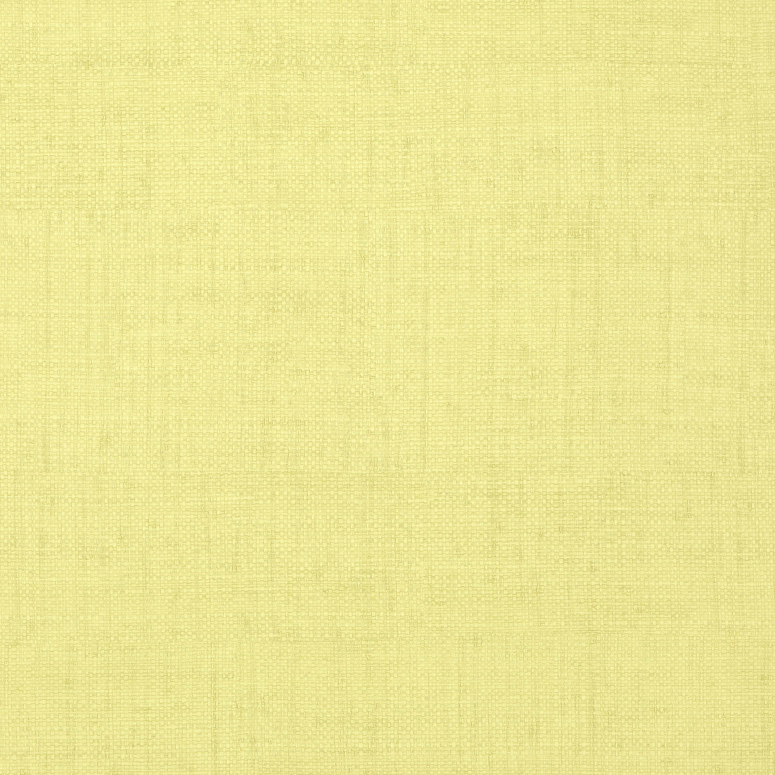 Thibaut Bankun Raffia Behang T14142 - Apple Green