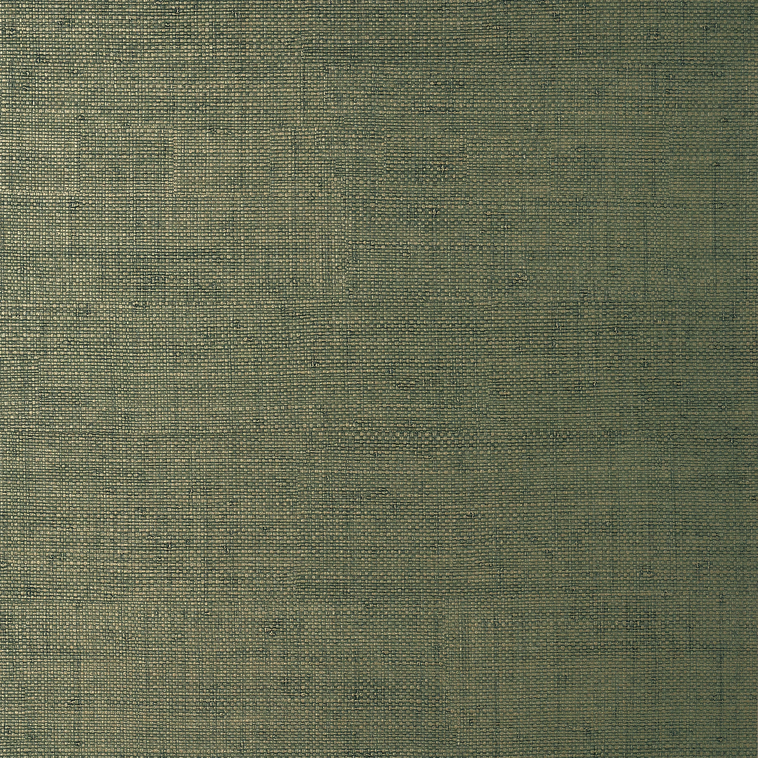 Thibaut Bankun Raffia Behang T14513 - Forest