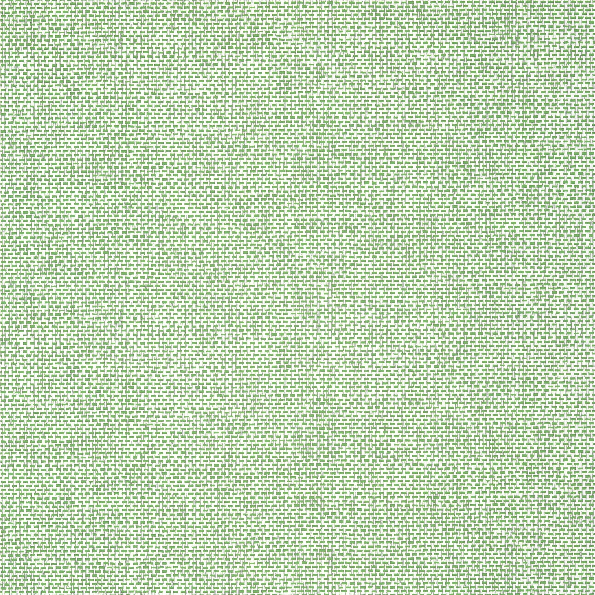 Thibaut Palawan Behang T16261 - Green