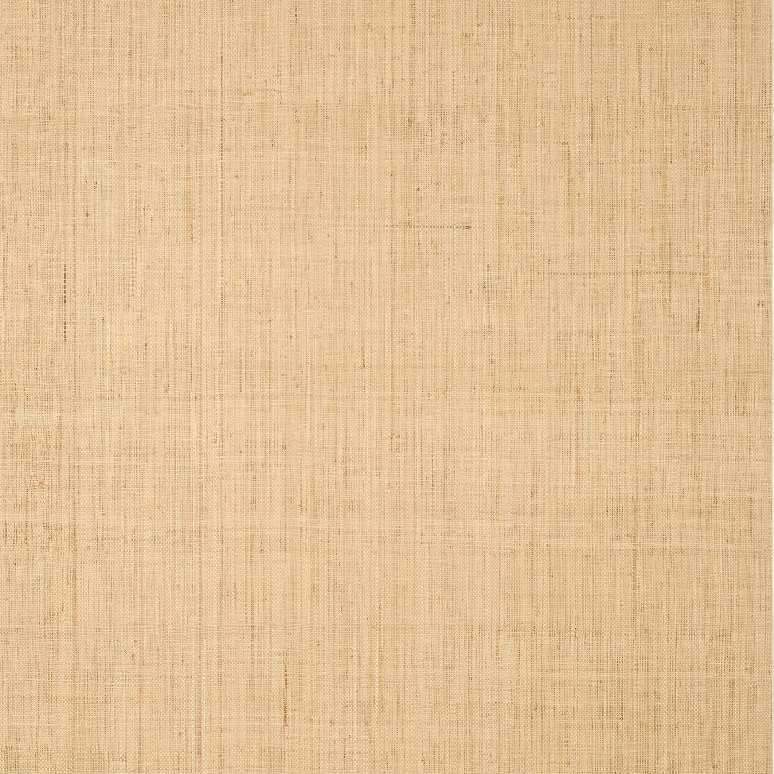 Thibaut Bethany Raffia Behang T19600 - Natural