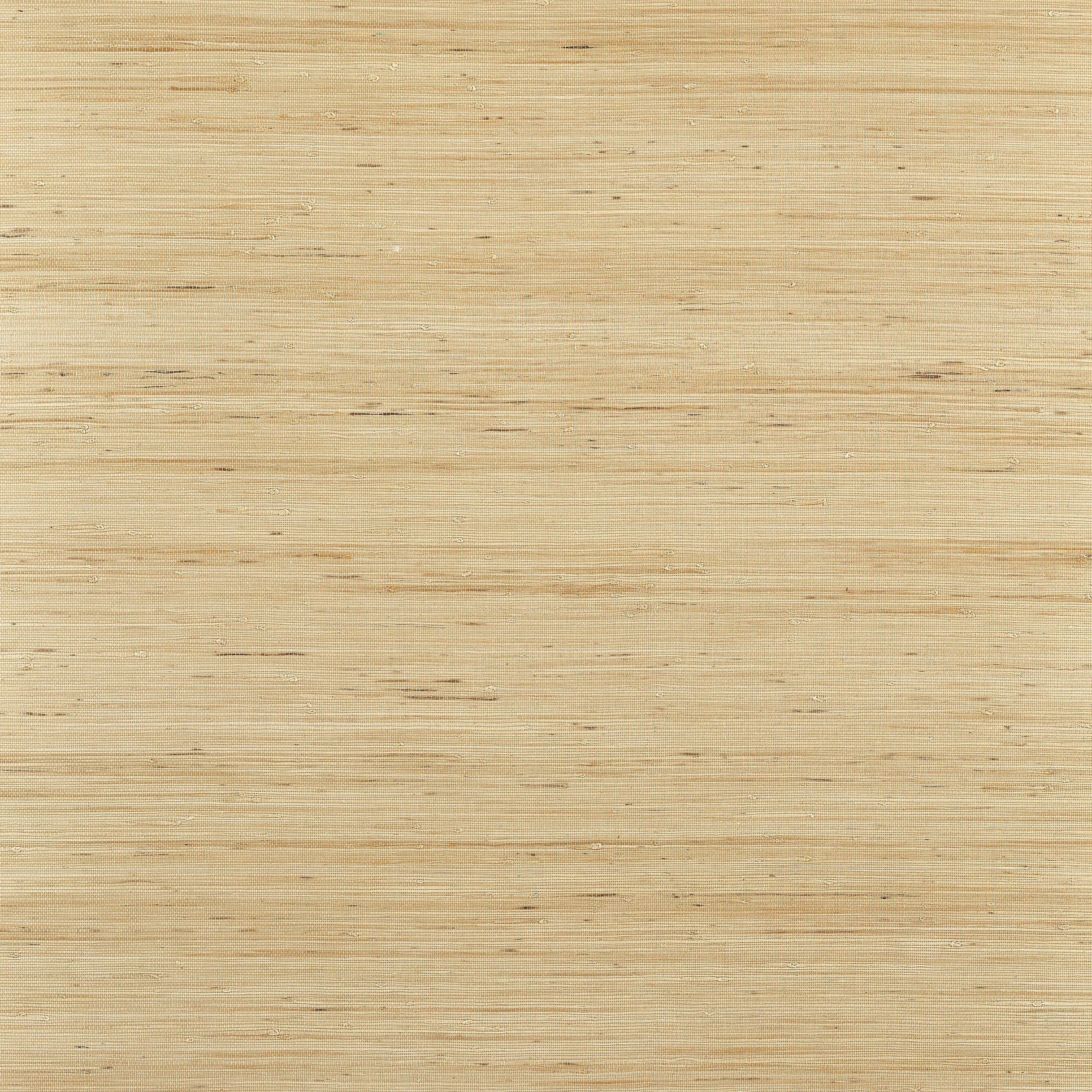 Thibaut Sydney Behang T19654 - Light Taupe
