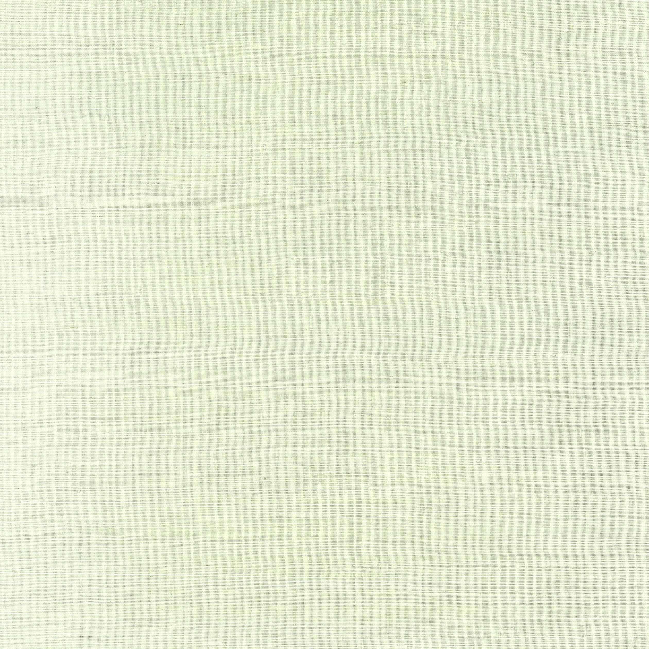 Thibaut Windward Sisal Behang T19662 - Spring Green