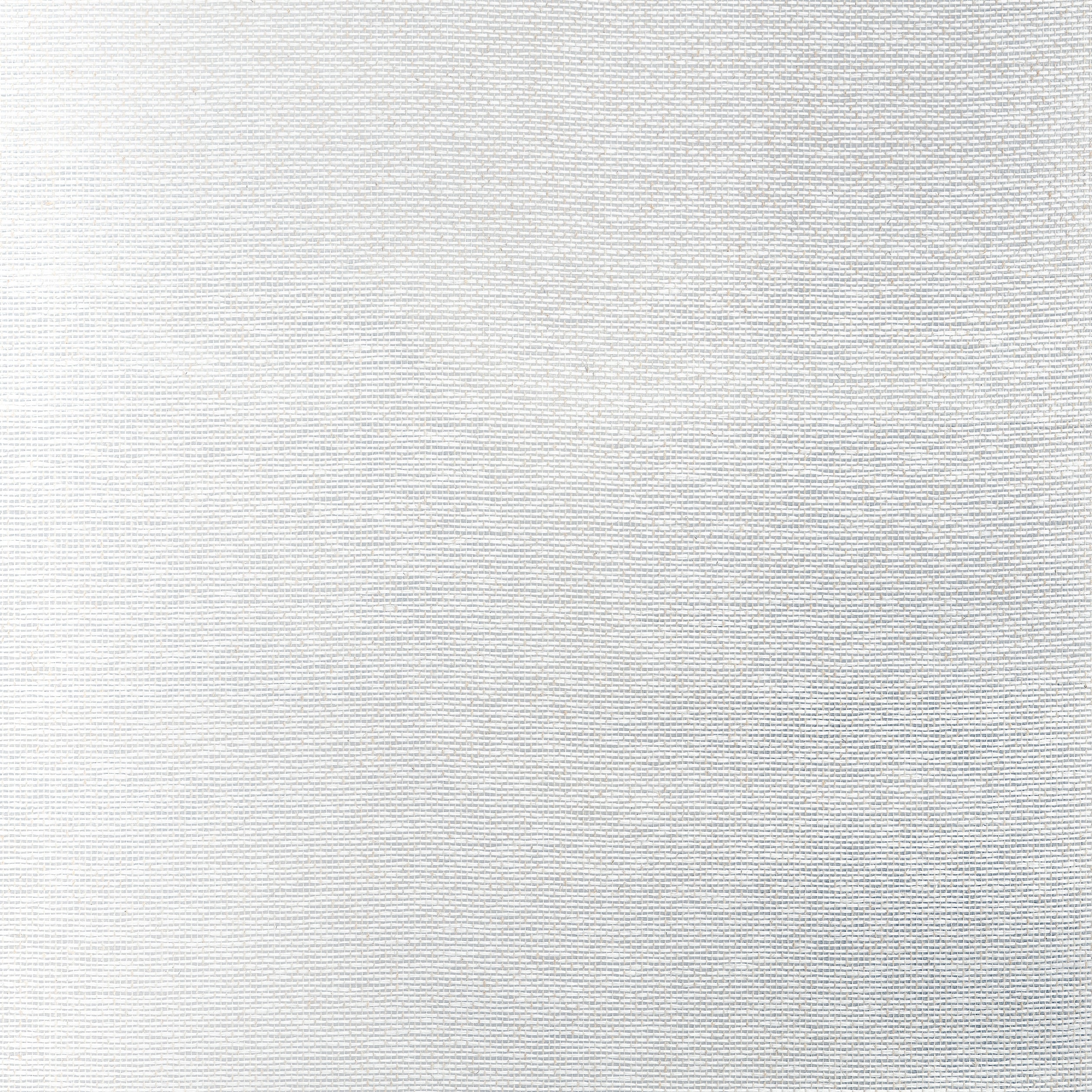 Thibaut Edward's Paper Behang T19698 - Metallic Silver