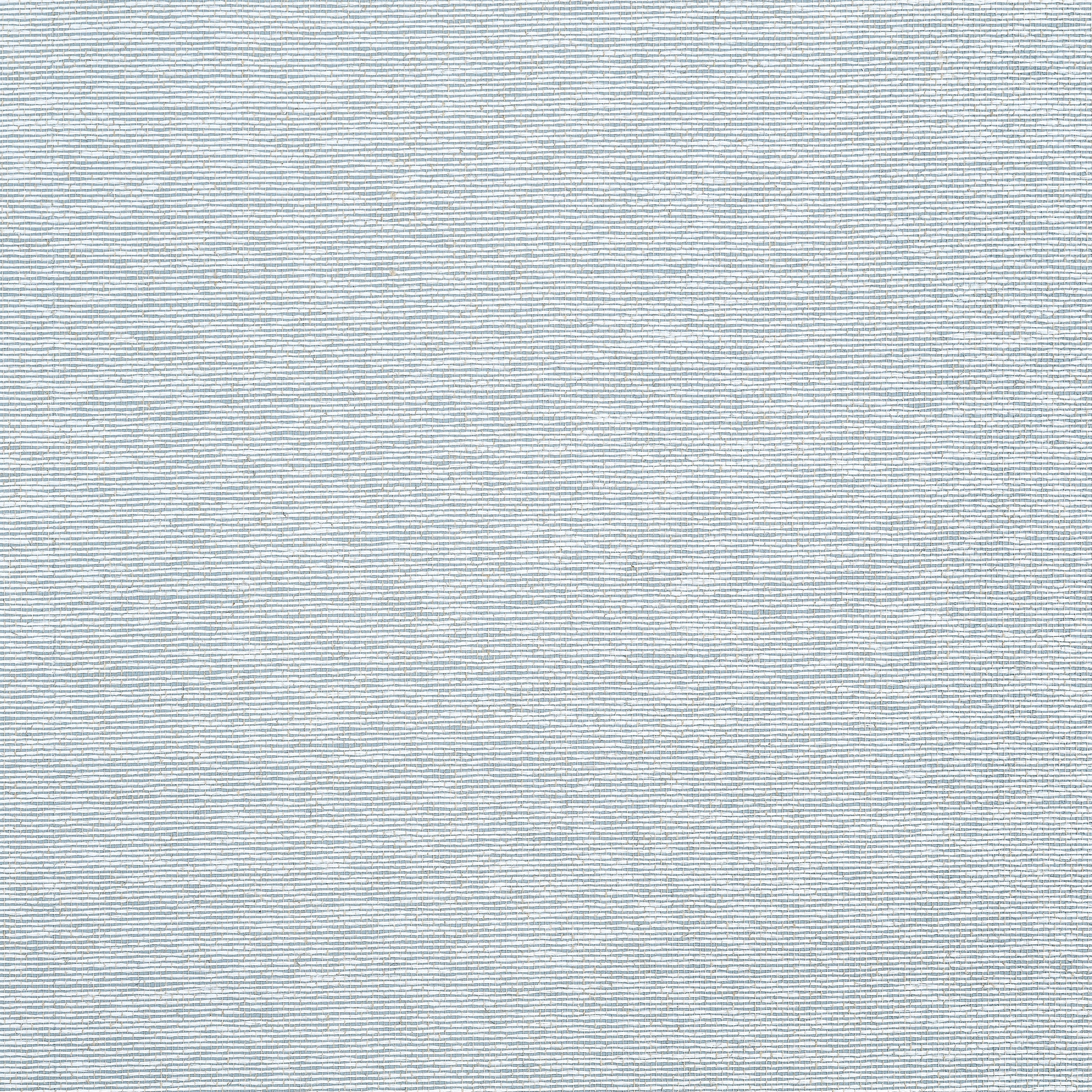 Thibaut Edward's Paper Behang T19699 - Robin's Egg