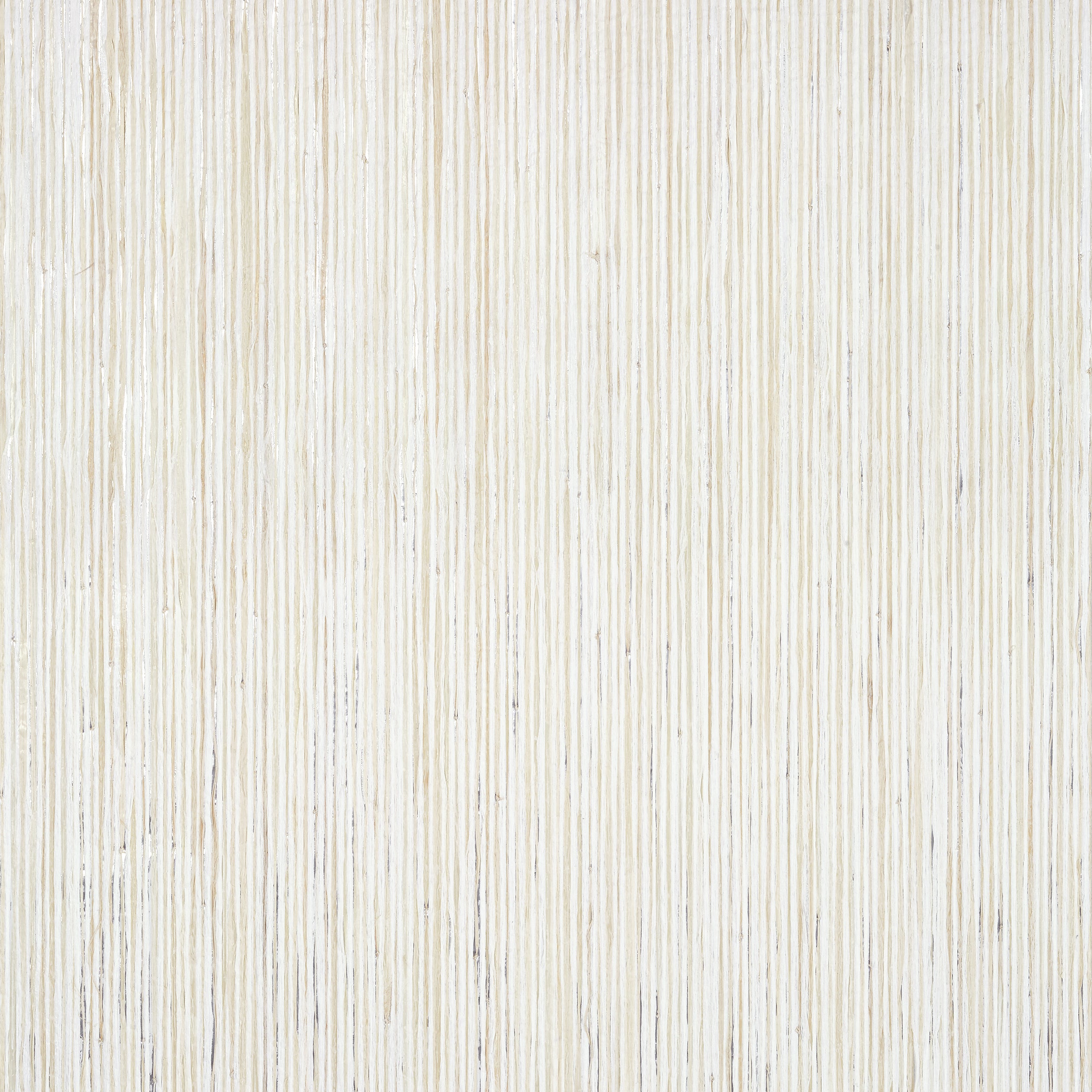 Thibaut Nira Behang T3987 - White