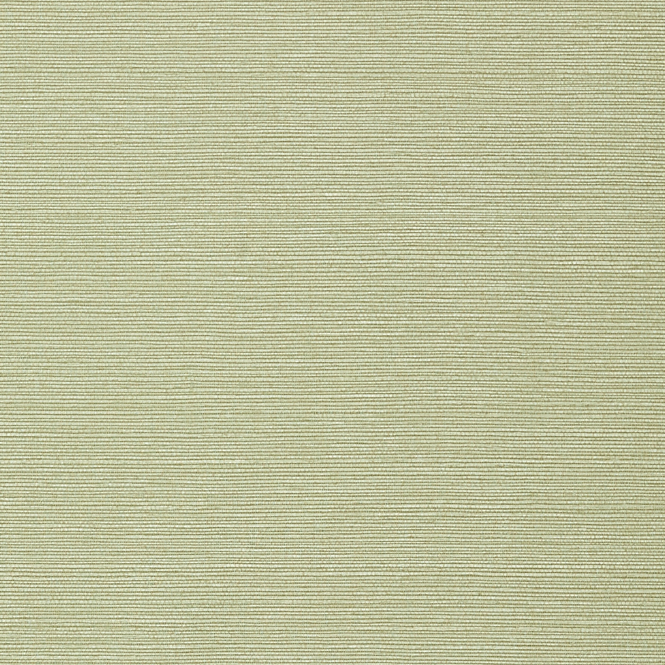 Thibaut Taluk Sisal Behang T75153 - Willow