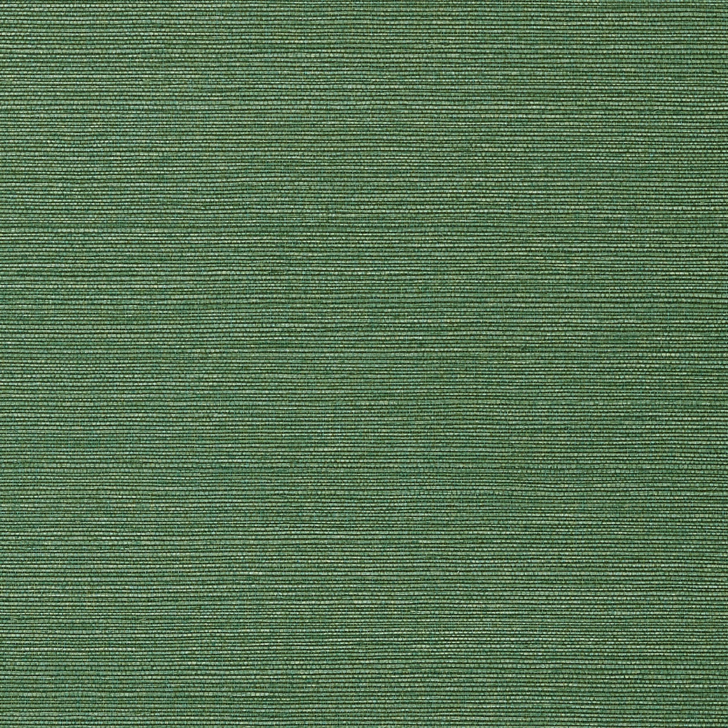 Thibaut Taluk Sisal Behang T75154 - Green