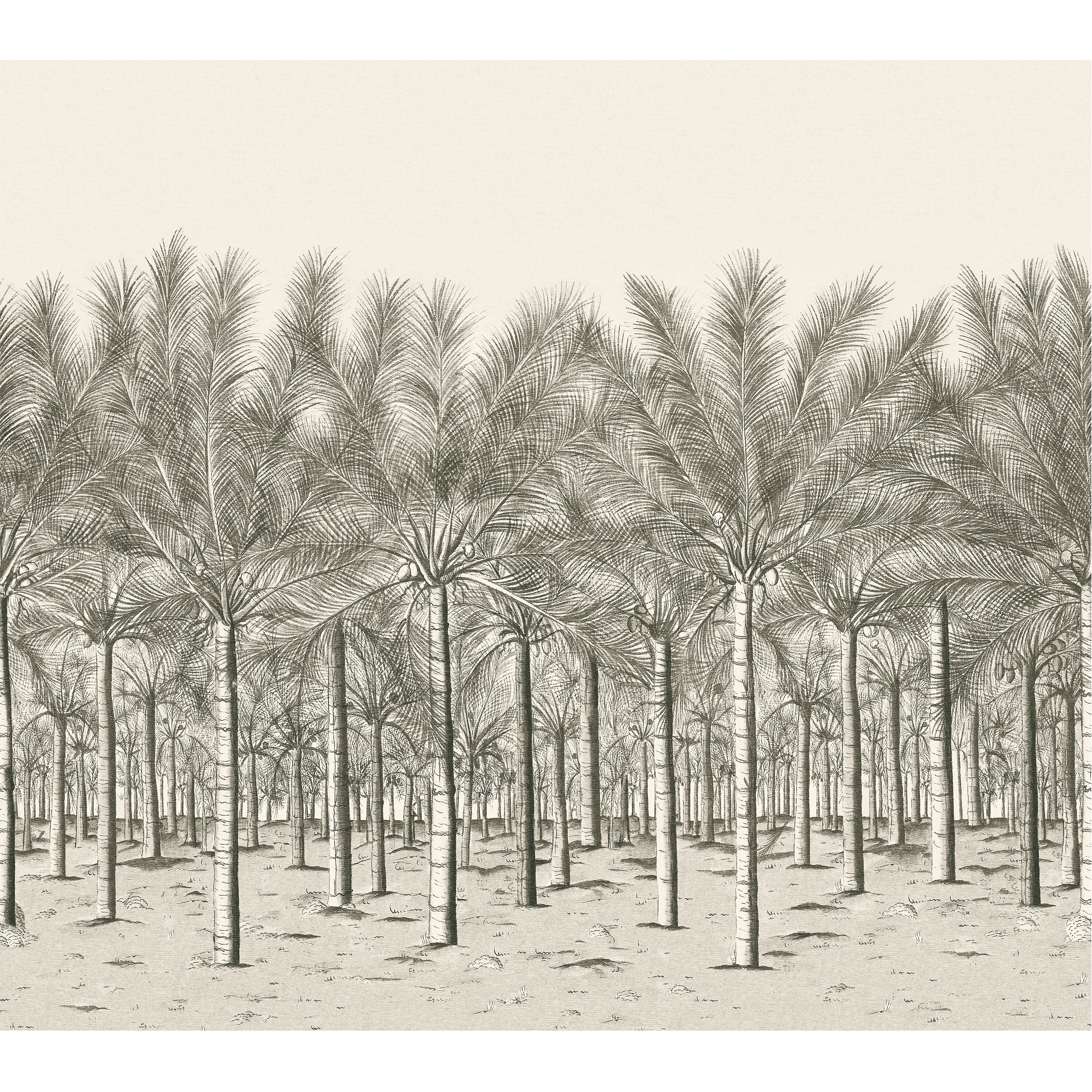 Thibaut Palm Grove Mural - 5 Panel Fullblack Behang TM13950 - Set Tea