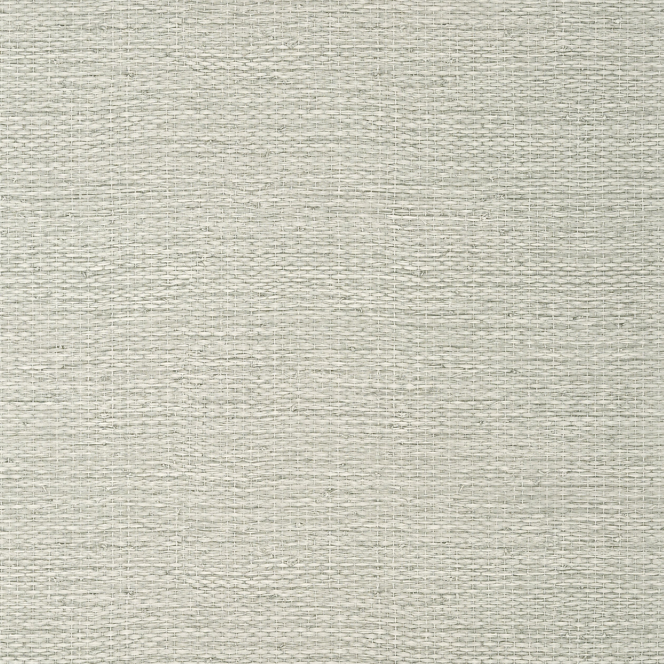 Thibaut Prairie Weave Behang TWW10934 - Fog
