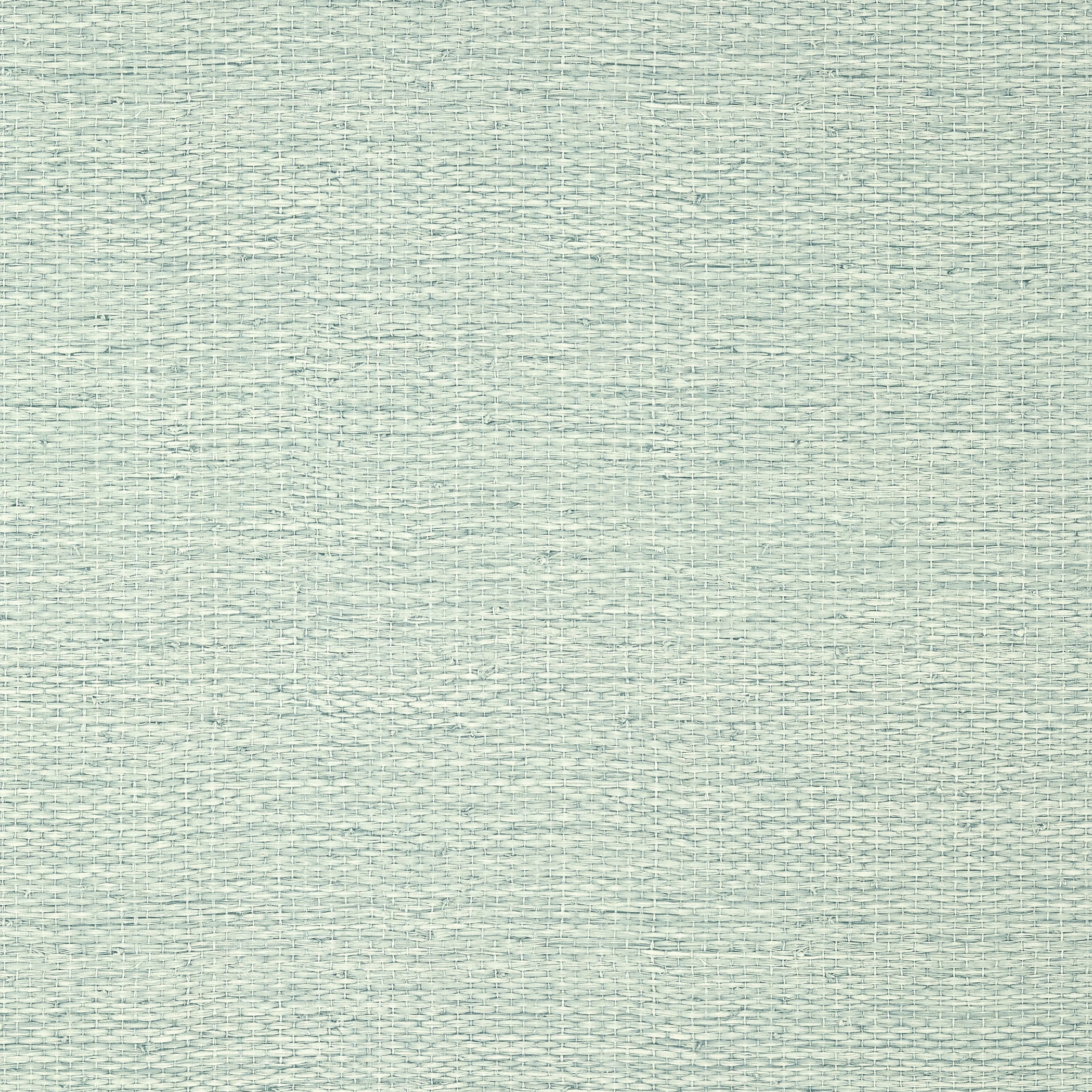 Thibaut Prairie Weave Behang TWW10937 - Sage