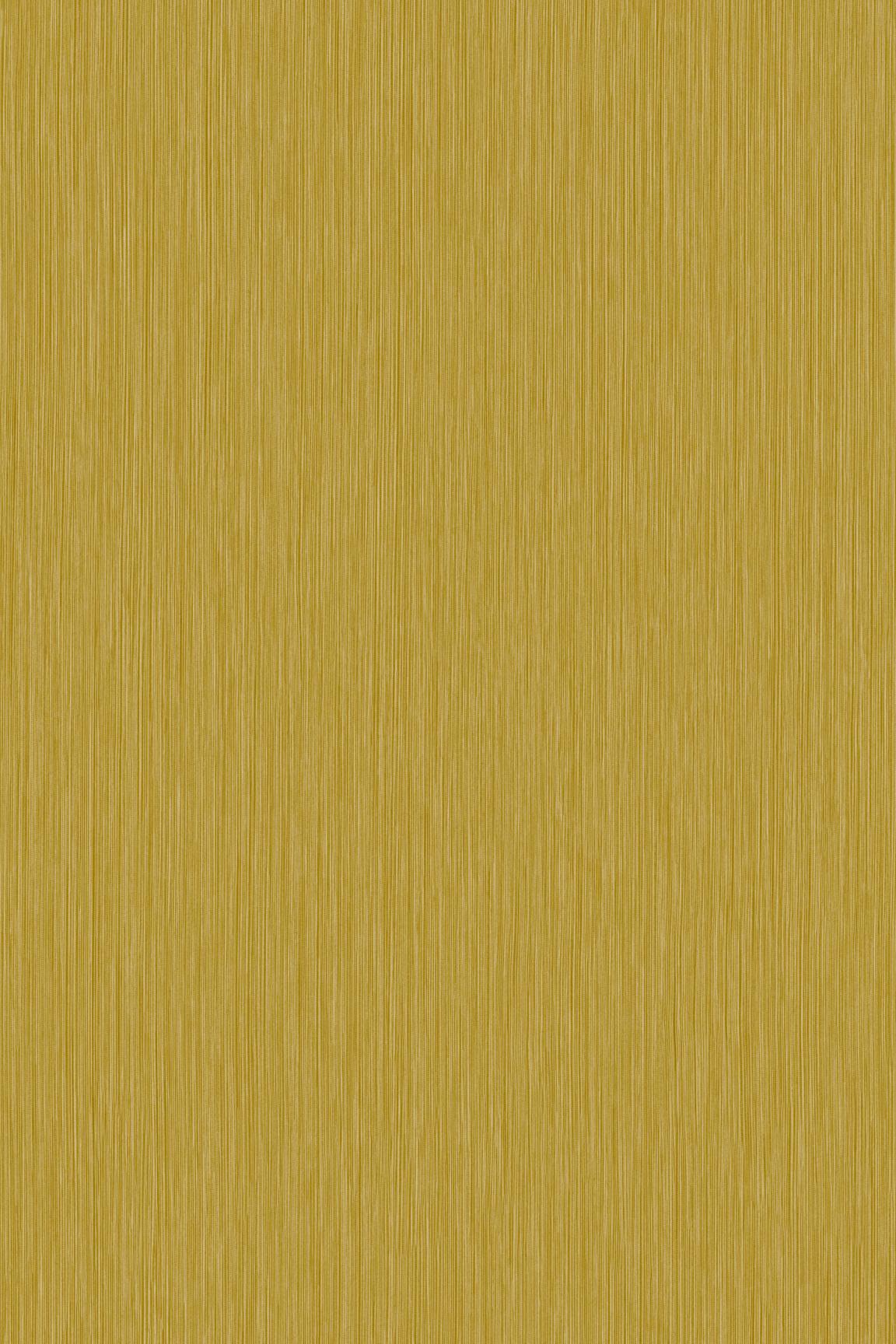 HookedOnWalls Passe Partout 2026 Colour Vibes 29900