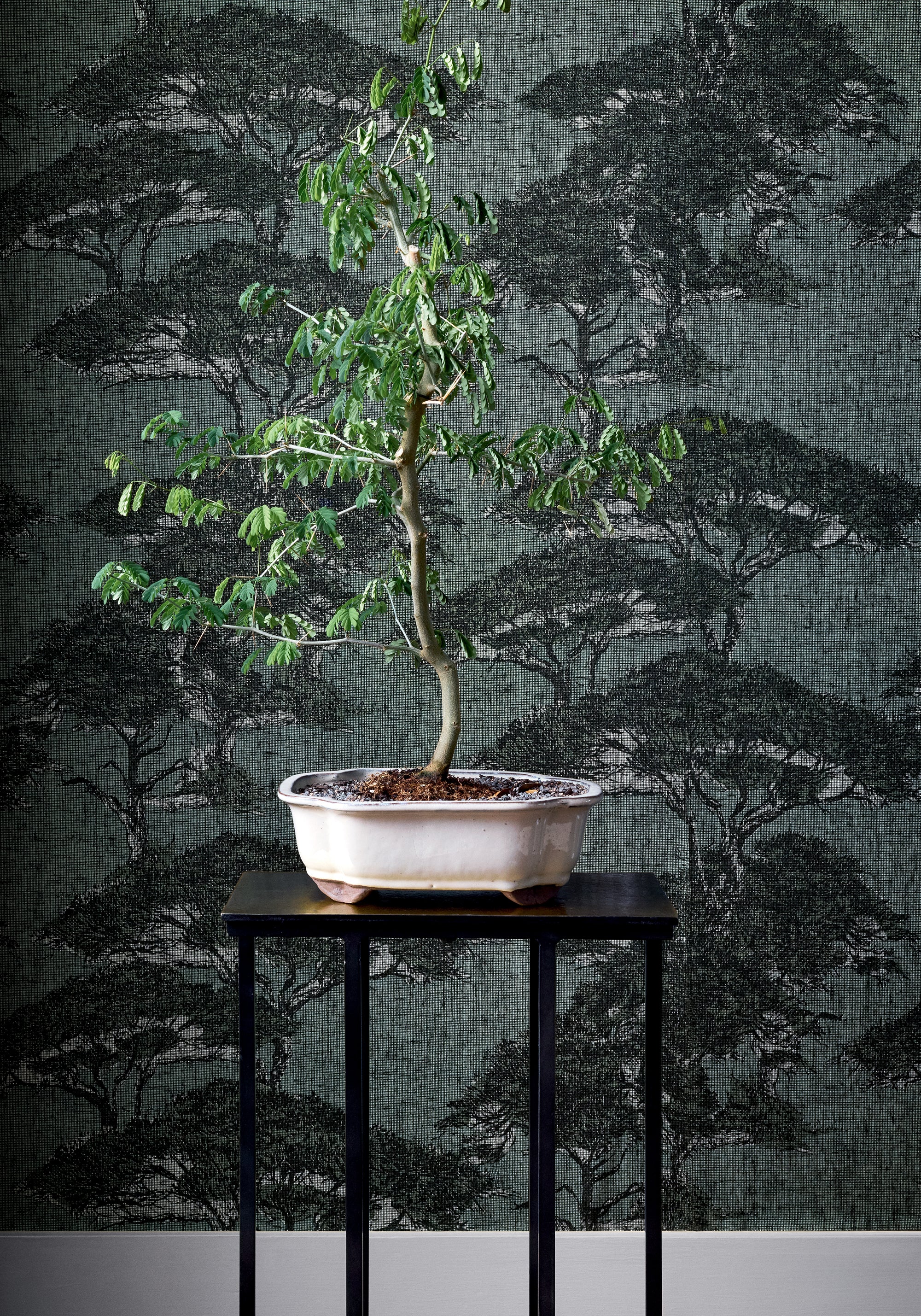 Thibaut Yutori Torrey Pines Behang T24434 - sfeerbeeld