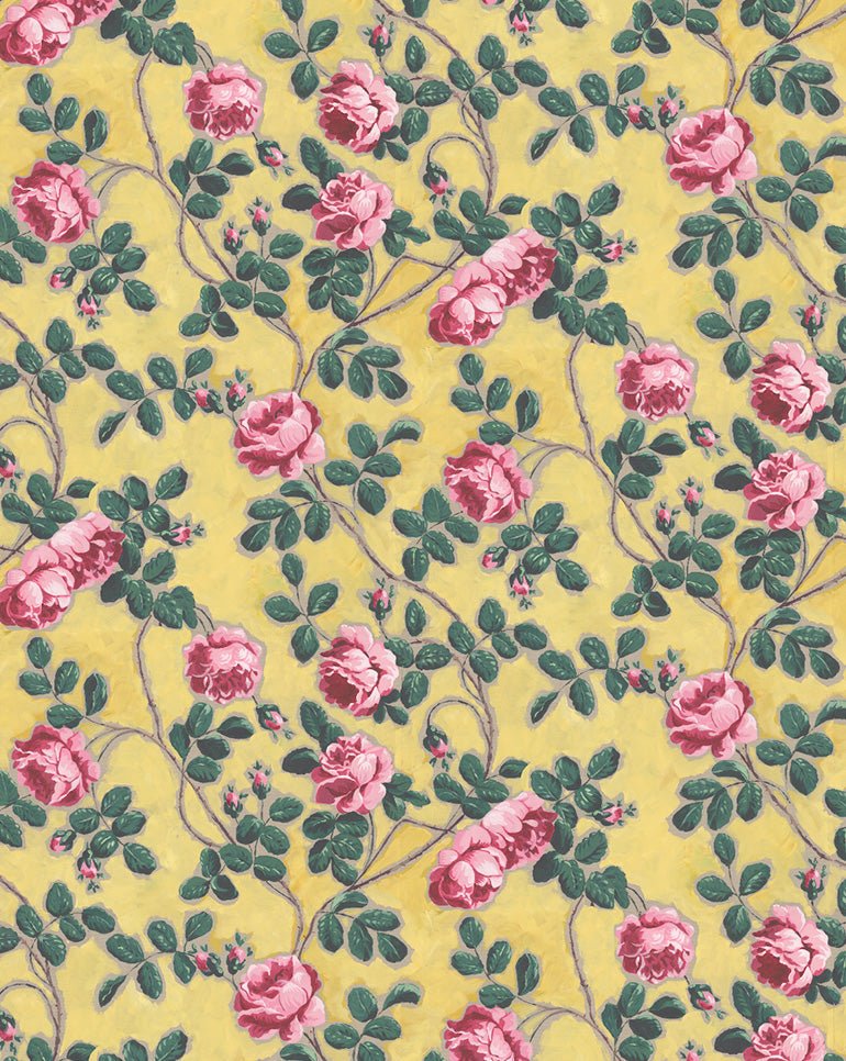 Antoinette Poisson Roses Pompadour Behang Rouleau 75C - LAB COLOUR THE WORLD