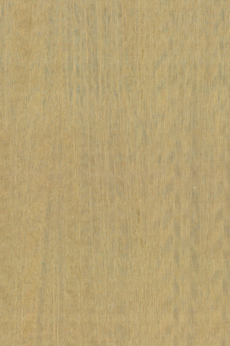 ARTE Fierce Amazone 2 23506 - LAB COLOUR THE WORLD
