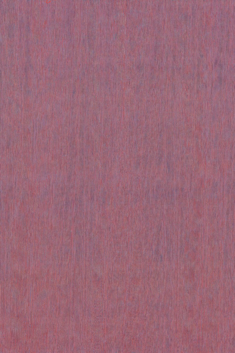 ARTE Fierce Amazone 2 23508 - LAB COLOUR THE WORLD