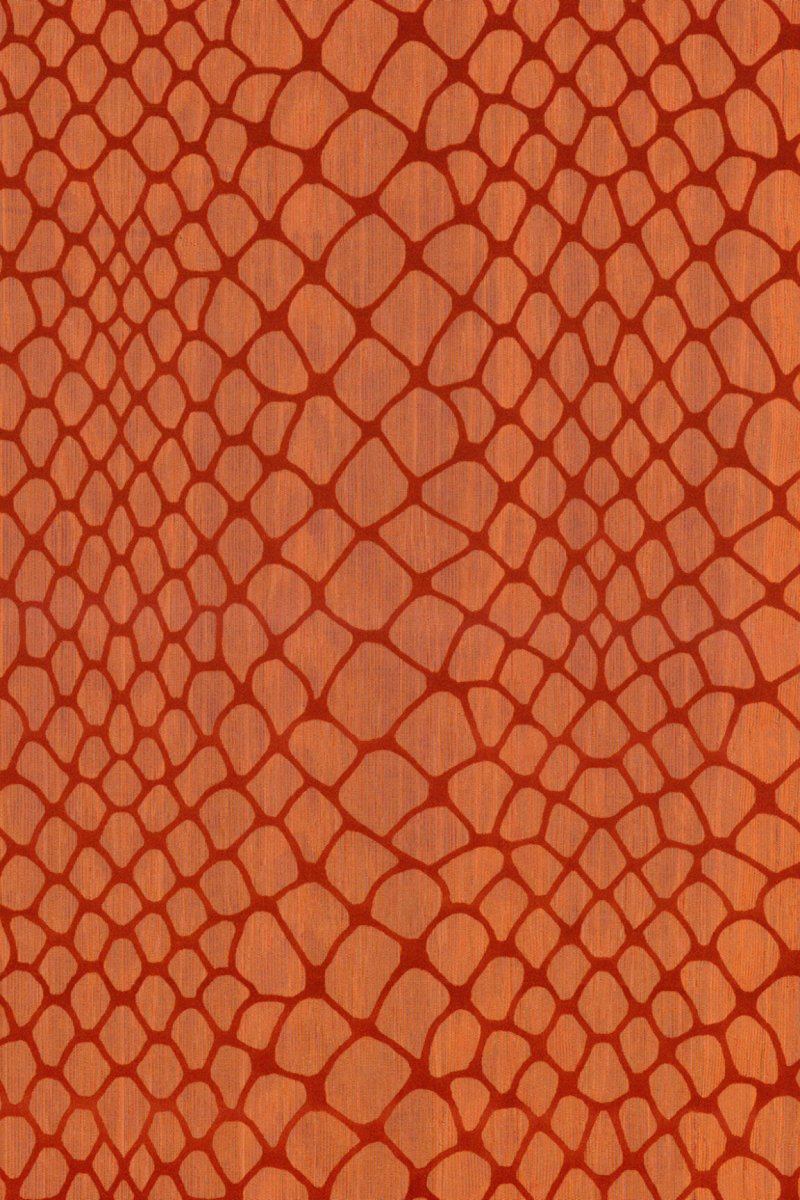 ARTE Maze Amazone 2 23584 - LAB COLOUR THE WORLD