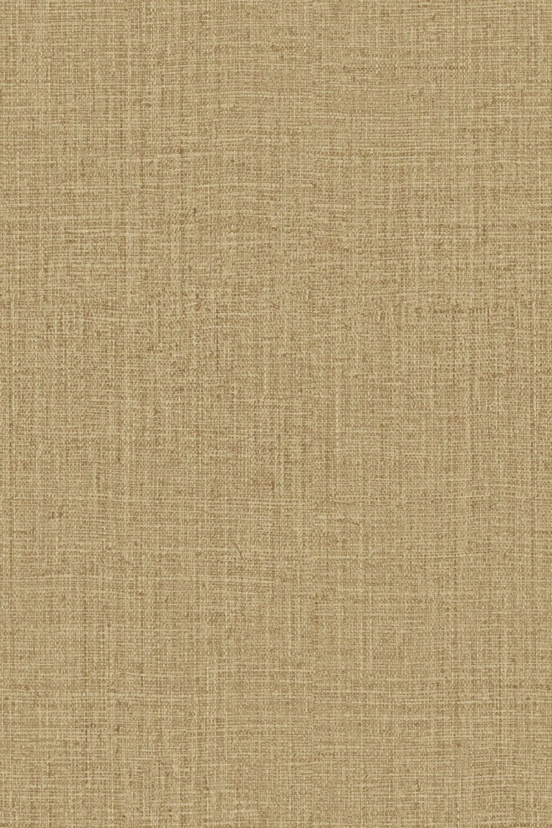 ARTE Peerless Intuition INT243 - LAB COLOUR THE WORLD