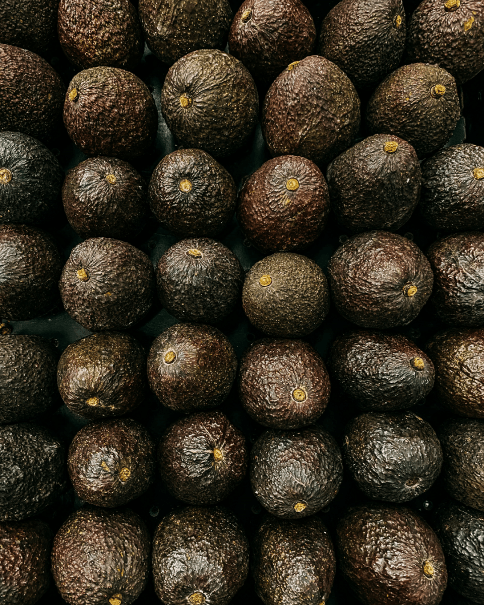 AVOCADO CLUB NO. 840 - LAB COLOUR THE WORLD