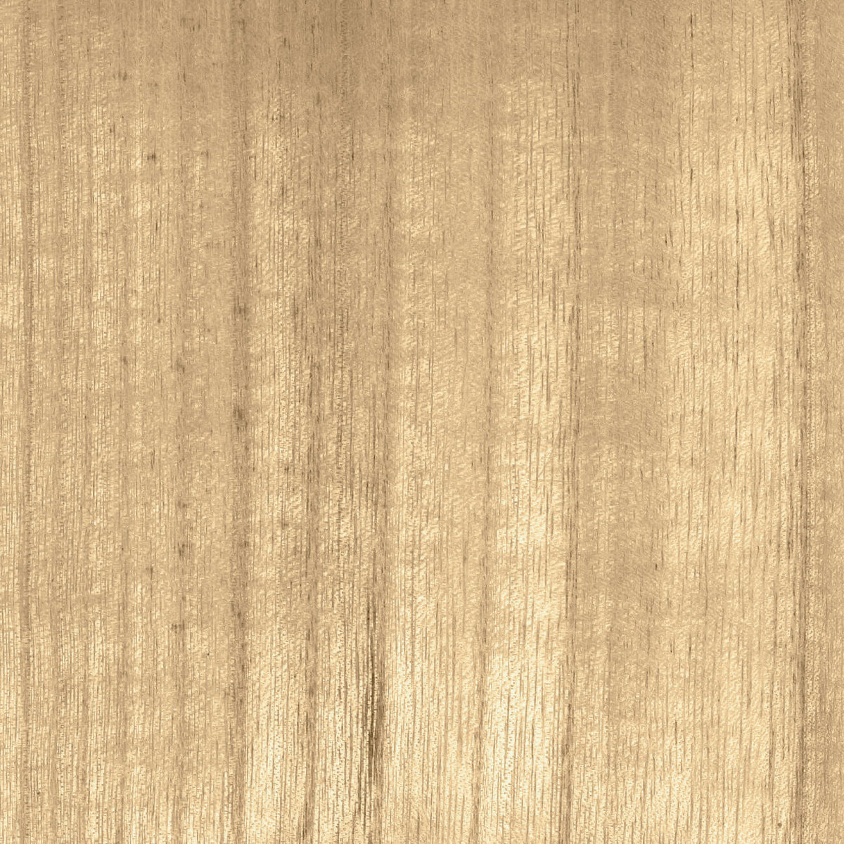 CMO Paris Bois Behang CMO WBO 01 - Blond