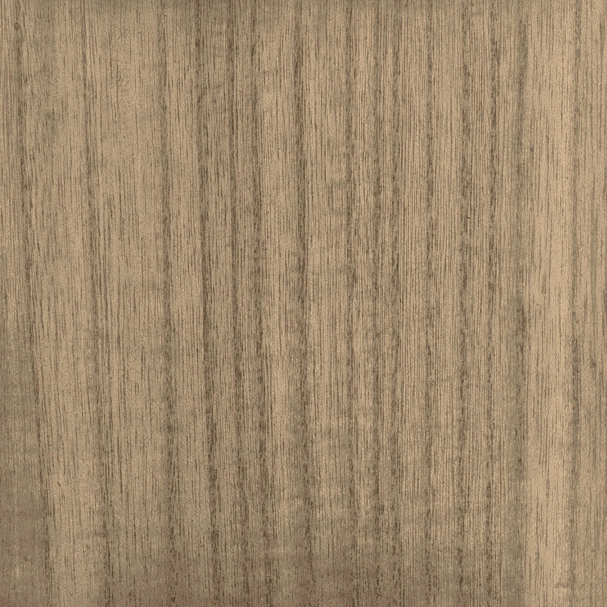 CMO Paris Bois Behang CMO WBO 01 - Taupe