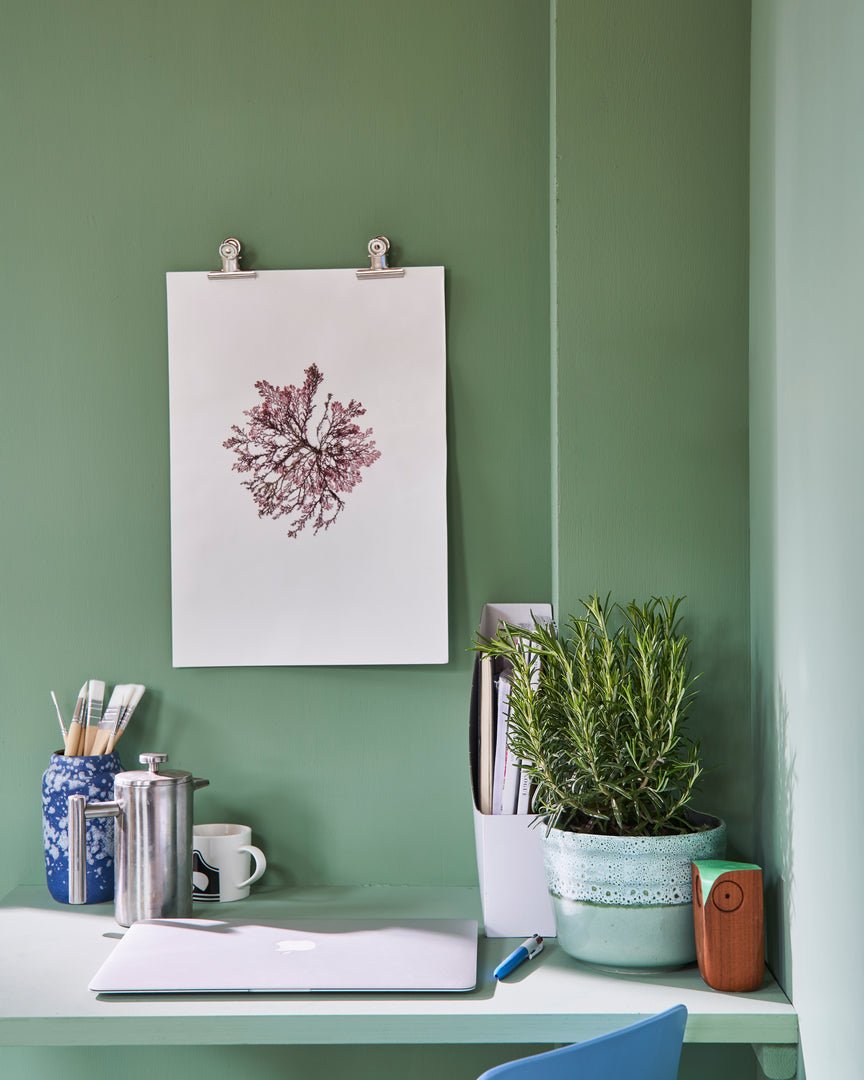 Breakfast Room Green no. 81 - LAB COLOUR THE WORLD