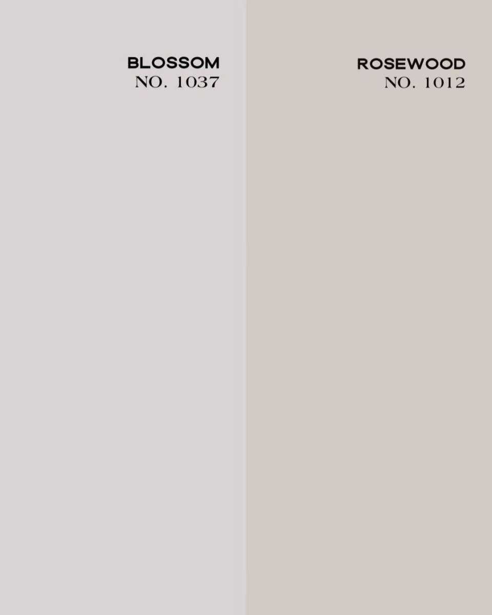 CALACATTA BLOSSOM NO. 1037 - LAB COLOUR THE WORLD