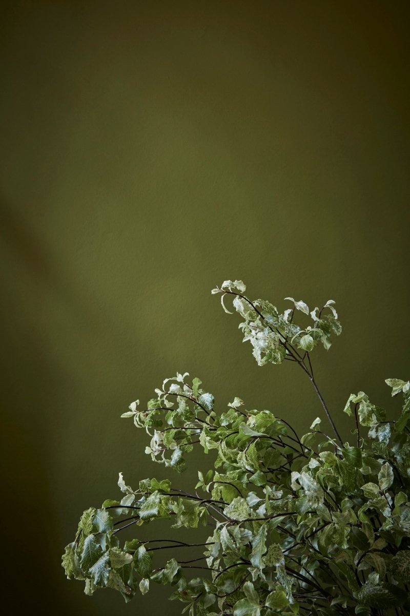 Citrine no. 71 - LAB COLOUR THE WORLD