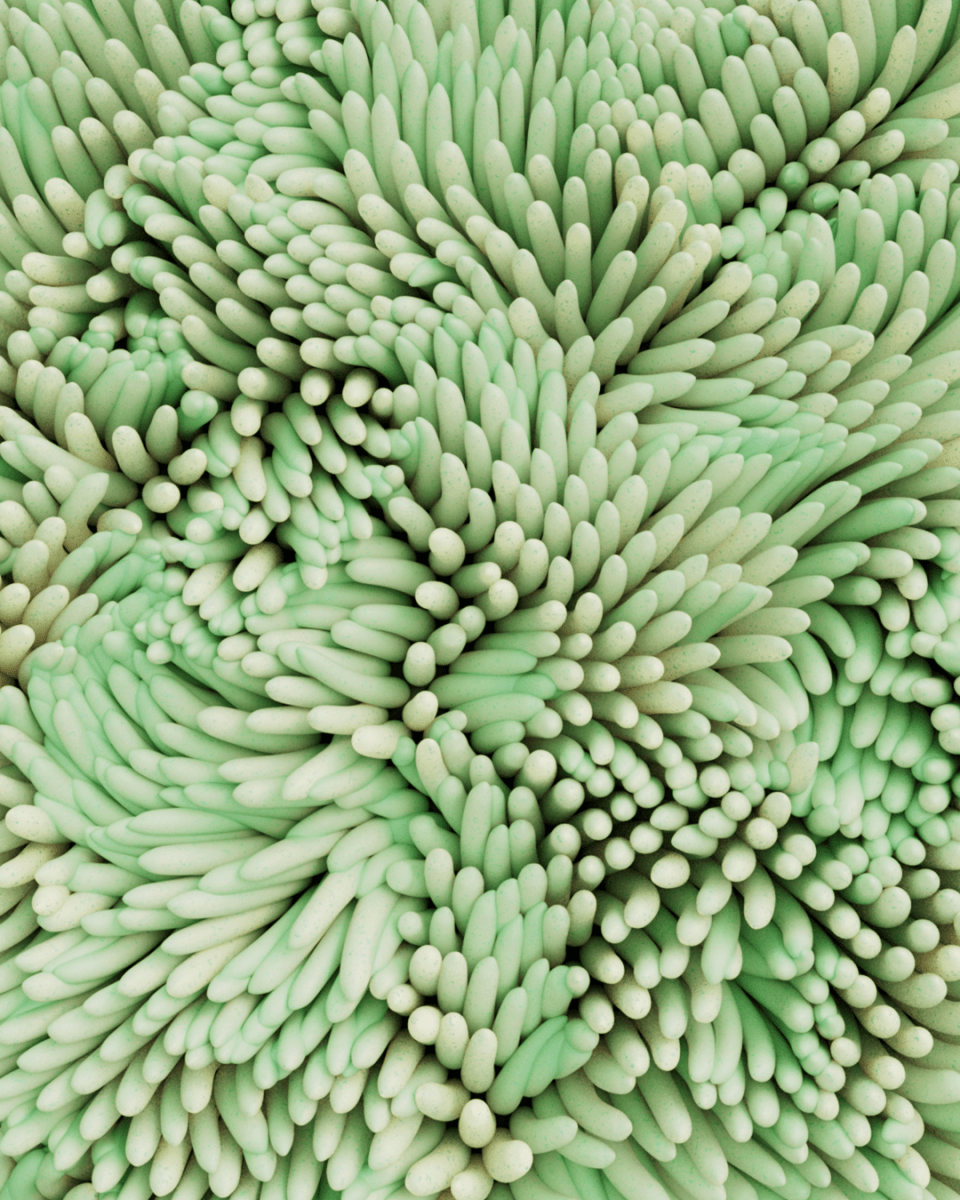 CLASSIC CORAL NO. 320 - LAB COLOUR THE WORLD