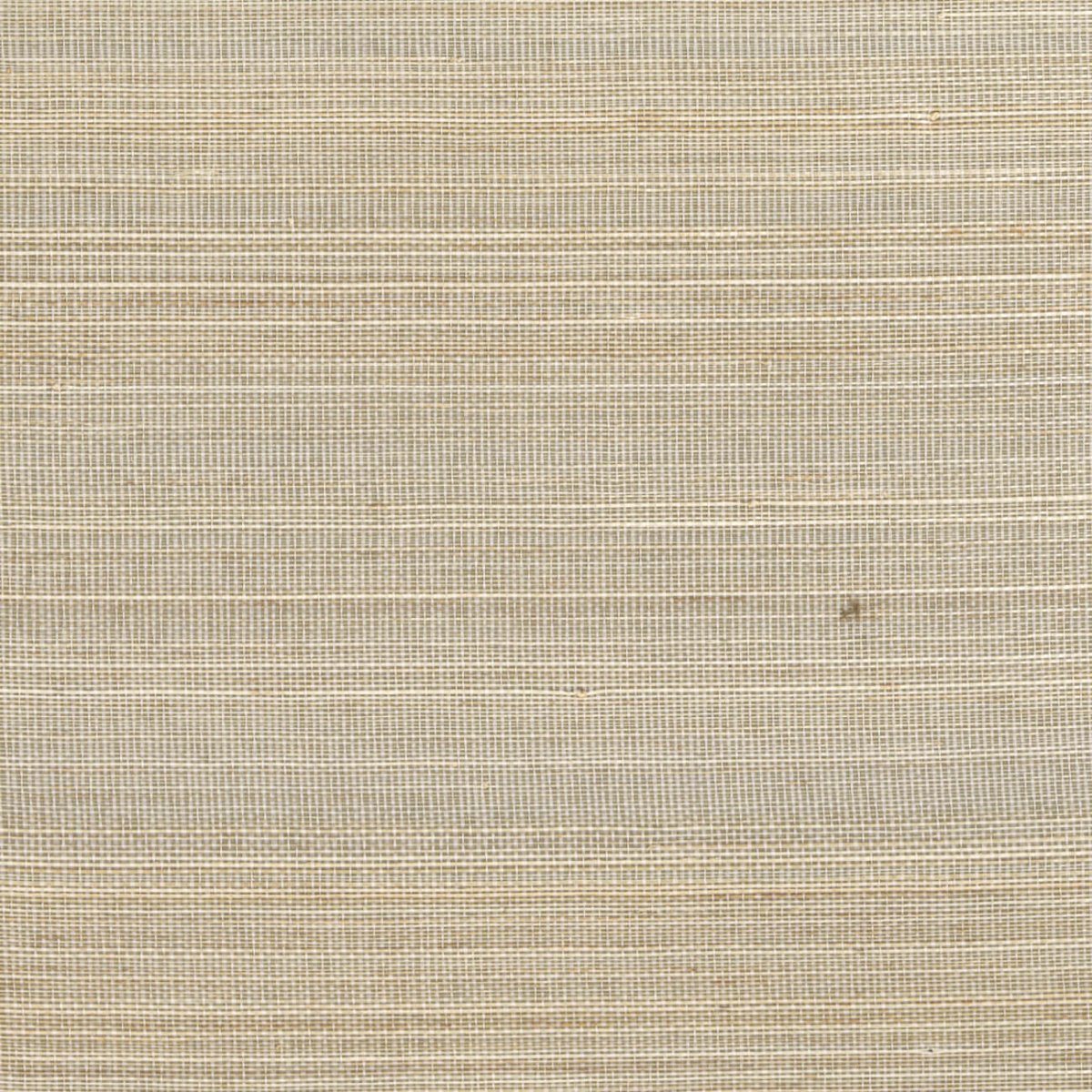 CMO Paris Abaca Dense Behang WAB 05 86 - Argent - LAB COLOUR THE WORLD