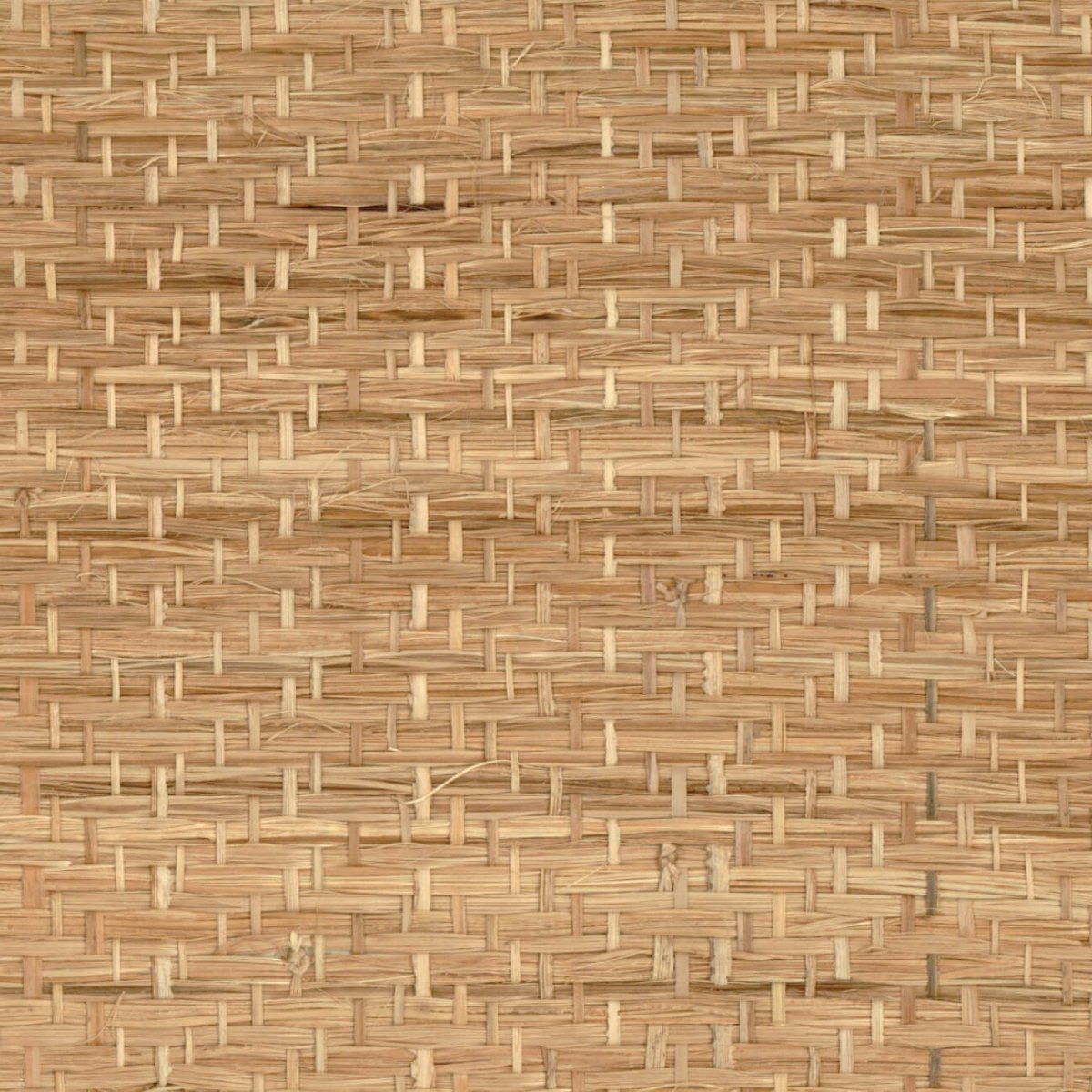 CMO Paris Abaca Herbacé Behang WAB 11 10 - naturel - LAB COLOUR THE WORLD