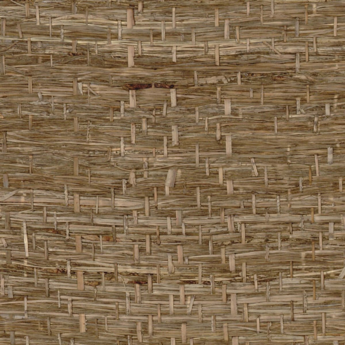 CMO Paris Abaca Herbacé Behang WAB 11 81 - pierre - LAB COLOUR THE WORLD