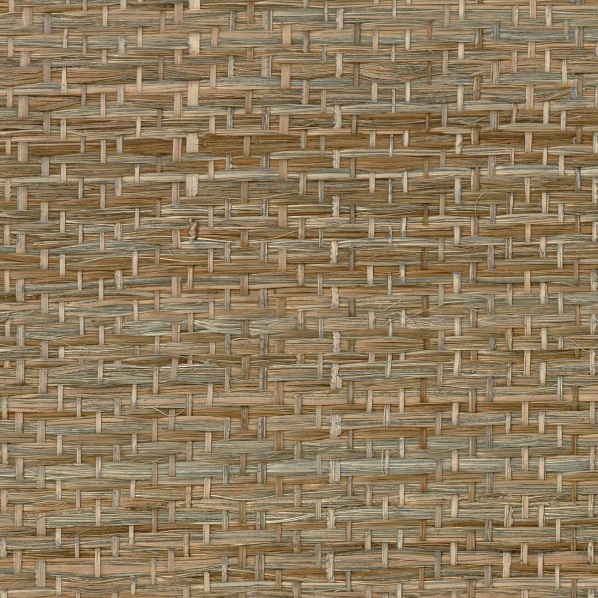 CMO Paris Abaca Herbacé Behang WAB 11 83 - orage - LAB COLOUR THE WORLD