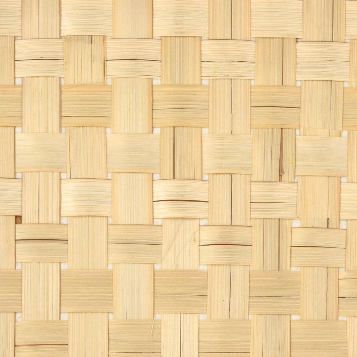 CMO Paris Bambou Canvas Behang WBB 04 10 - naturel - LAB COLOUR THE WORLD