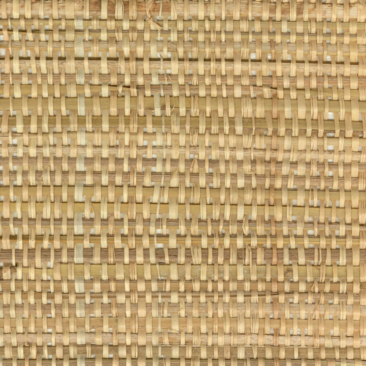 CMO Paris Papyrus Brut Behang WRS 04 10 - naturel - LAB COLOUR THE WORLD