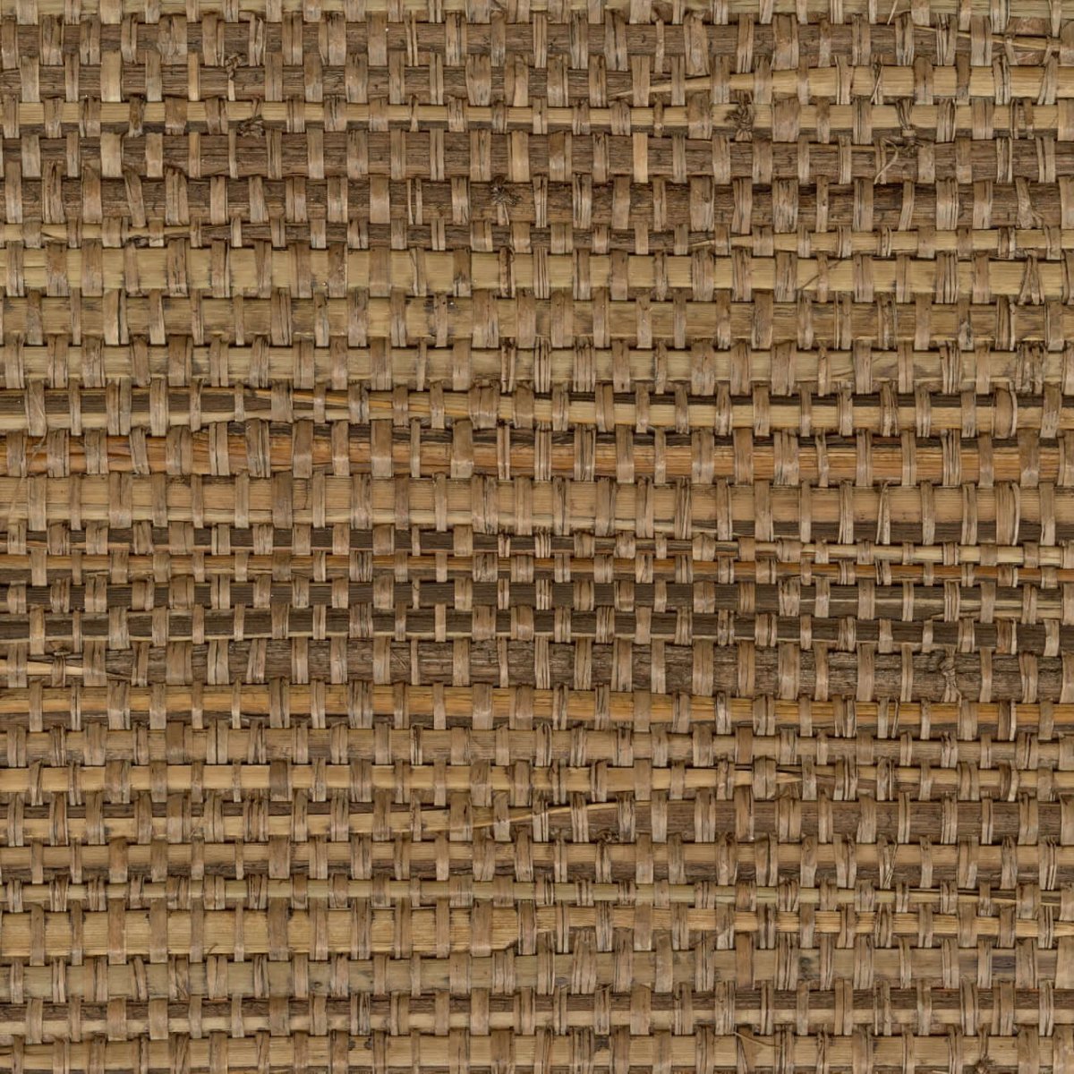 CMO Paris Papyrus Brut Behang WRS 04 72 - tabac - LAB COLOUR THE WORLD