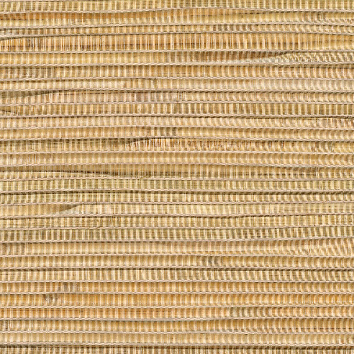 CMO Paris Rôtin Perle Behang WRO 01 20 - naturel - LAB COLOUR THE WORLD