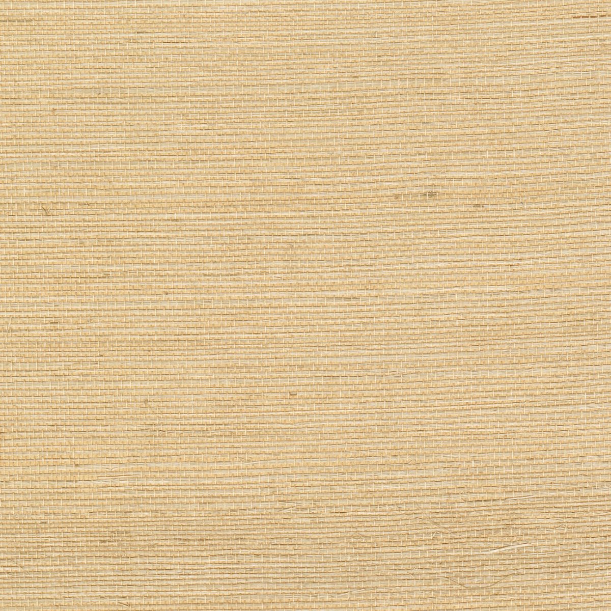 CMO Paris Sisal Behang WSI 01 20 - Blond - LAB COLOUR THE WORLD