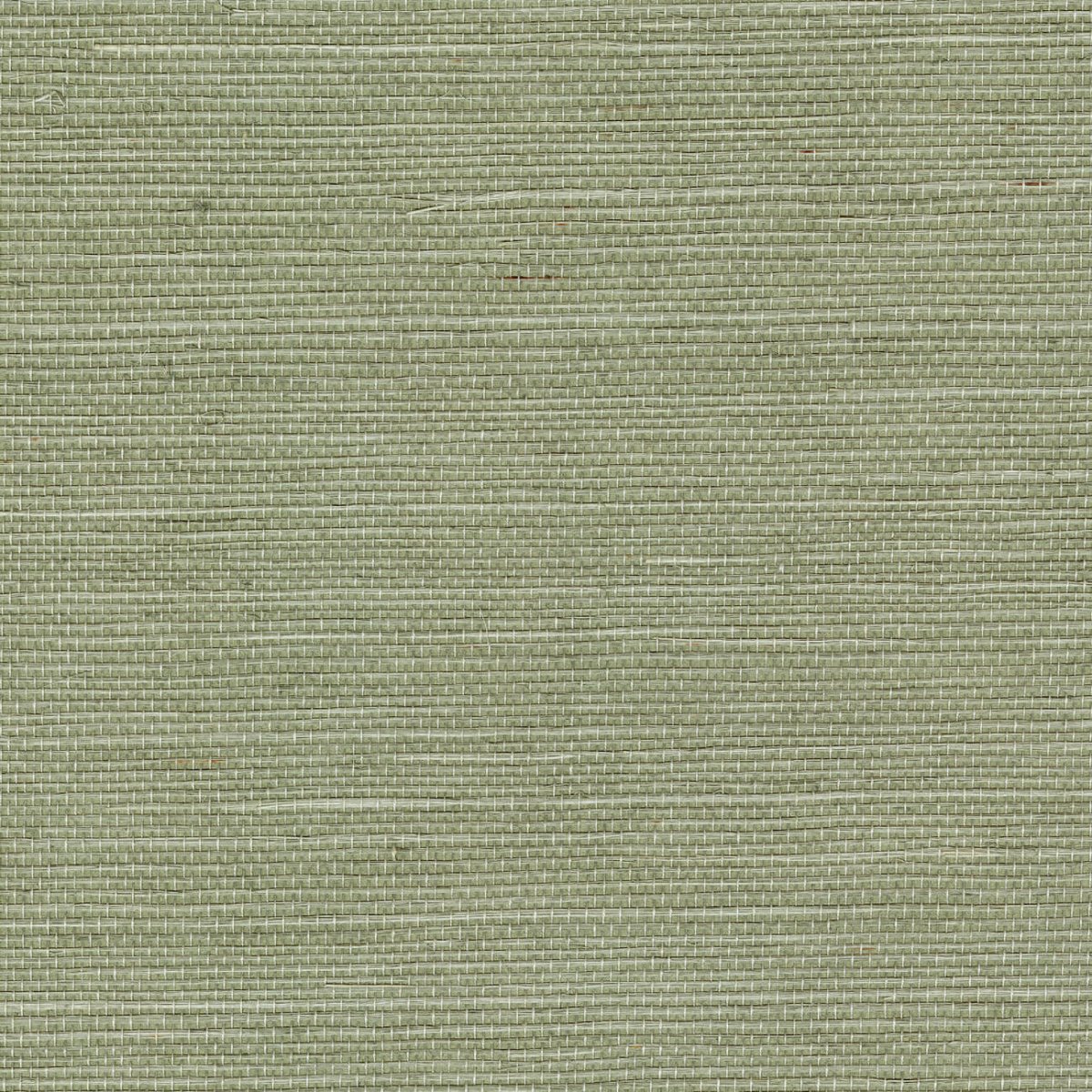 CMO Paris Sisal Behang WSI 01 69 - Amande - LAB COLOUR THE WORLD