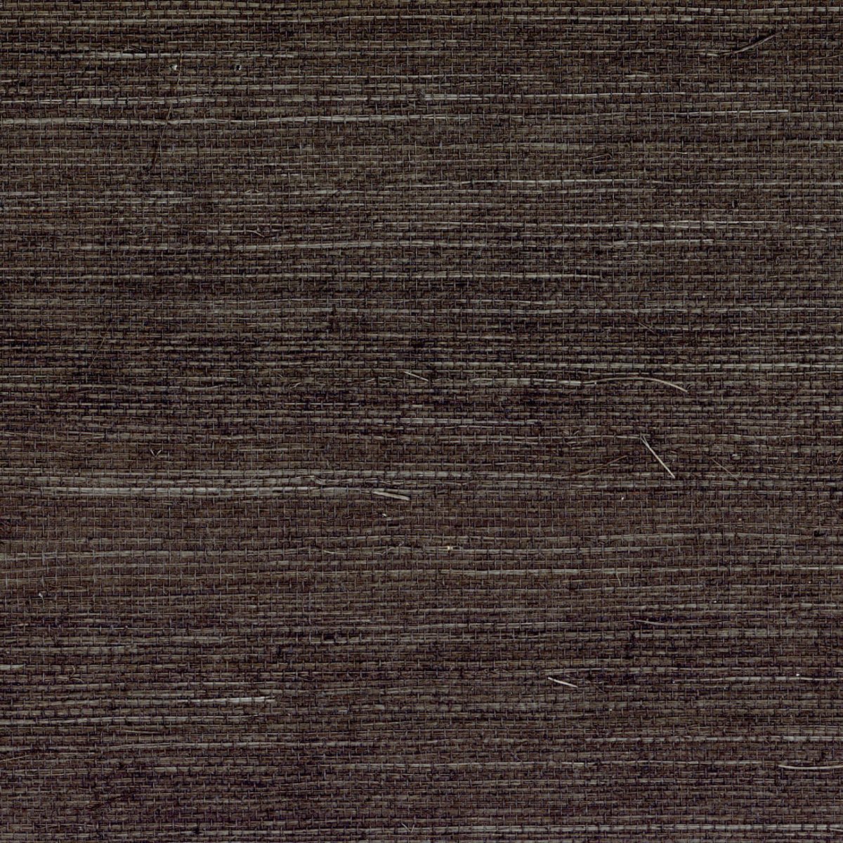 CMO Paris Sisal Behang WSI 01 80 - Noir - LAB COLOUR THE WORLD