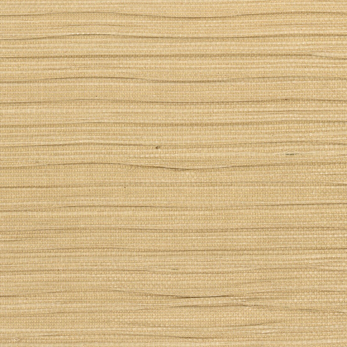 CMO Paris Sisal Plissé Behang WSI 07 20 - Blond - LAB COLOUR THE WORLD